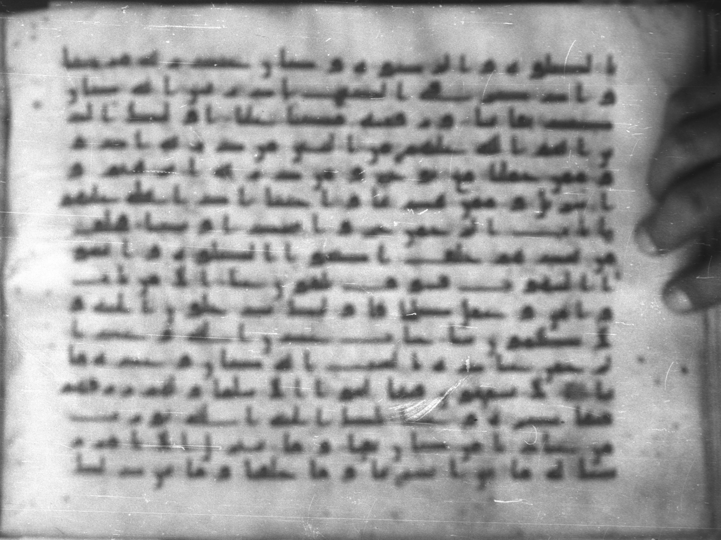 Topkapı Palace Museum, Saray 50395 (Scan 1), in Kūfī D IV script, showing Surah 19:63 from Mid 8th to Late 9th Century AD found in Unknown, currently housed at Topkapı Palace Museum (Topkapı Sarayı Müzesi), Istanbul, Turkey
