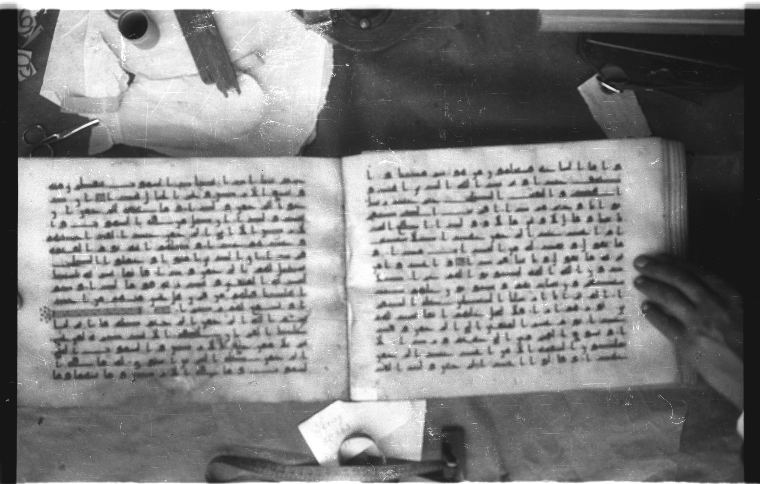 Topkapı Palace Museum, Saray 50395 (Scan 2), in Kūfī D IV script, showing Surah 19:83 from Mid 8th to Late 9th Century AD found in Unknown, currently housed at Topkapı Palace Museum (Topkapı Sarayı Müzesi), Istanbul, Turkey