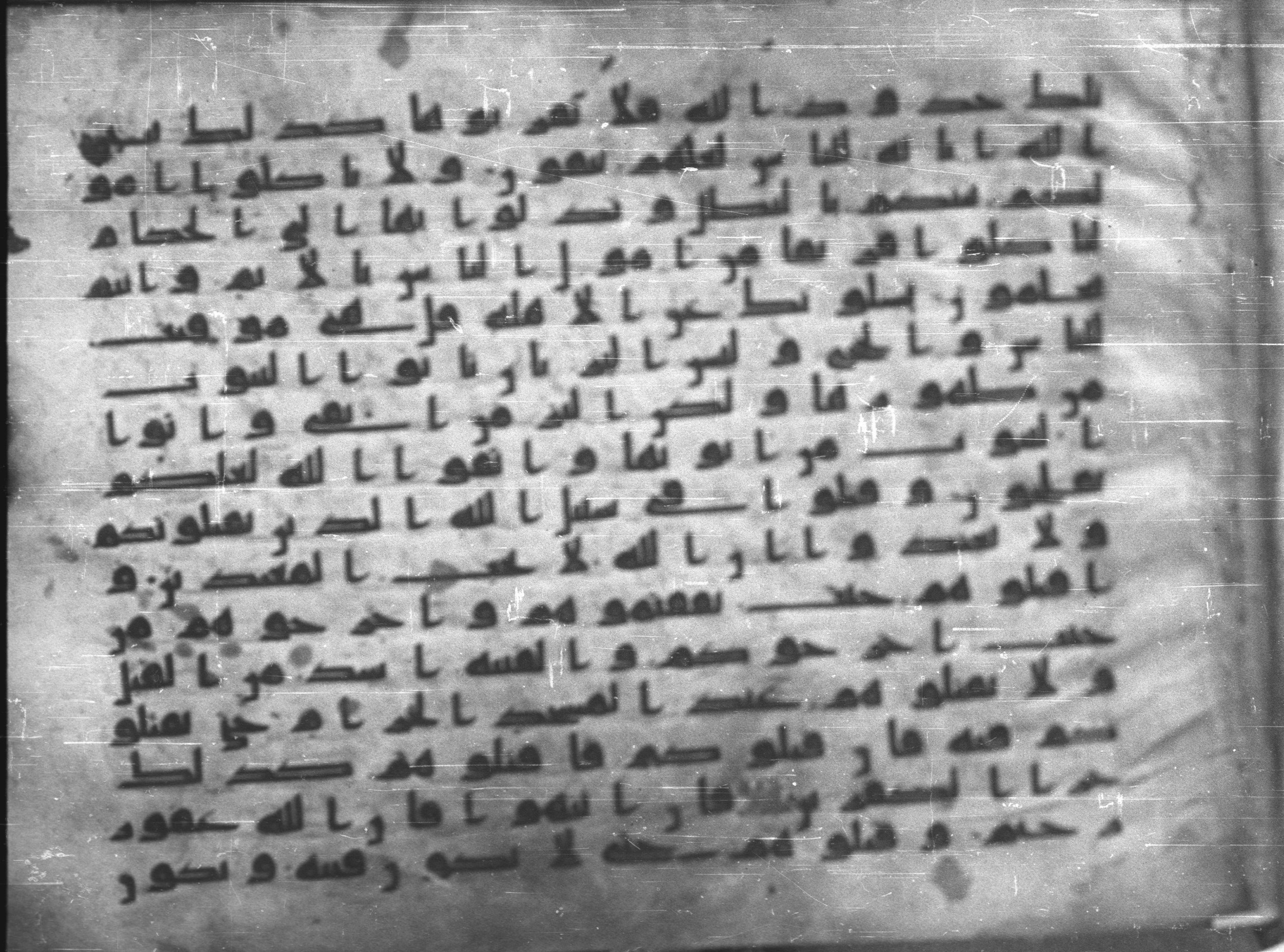 Topkapı Palace Museum, Saray 50395, in Kūfī D IV script, showing Surah 2:192 from Mid 8th to Late 9th Century AD found in Unknown, currently housed at Topkapı Palace Museum (Topkapı Sarayı Müzesi), Istanbul, Turkey