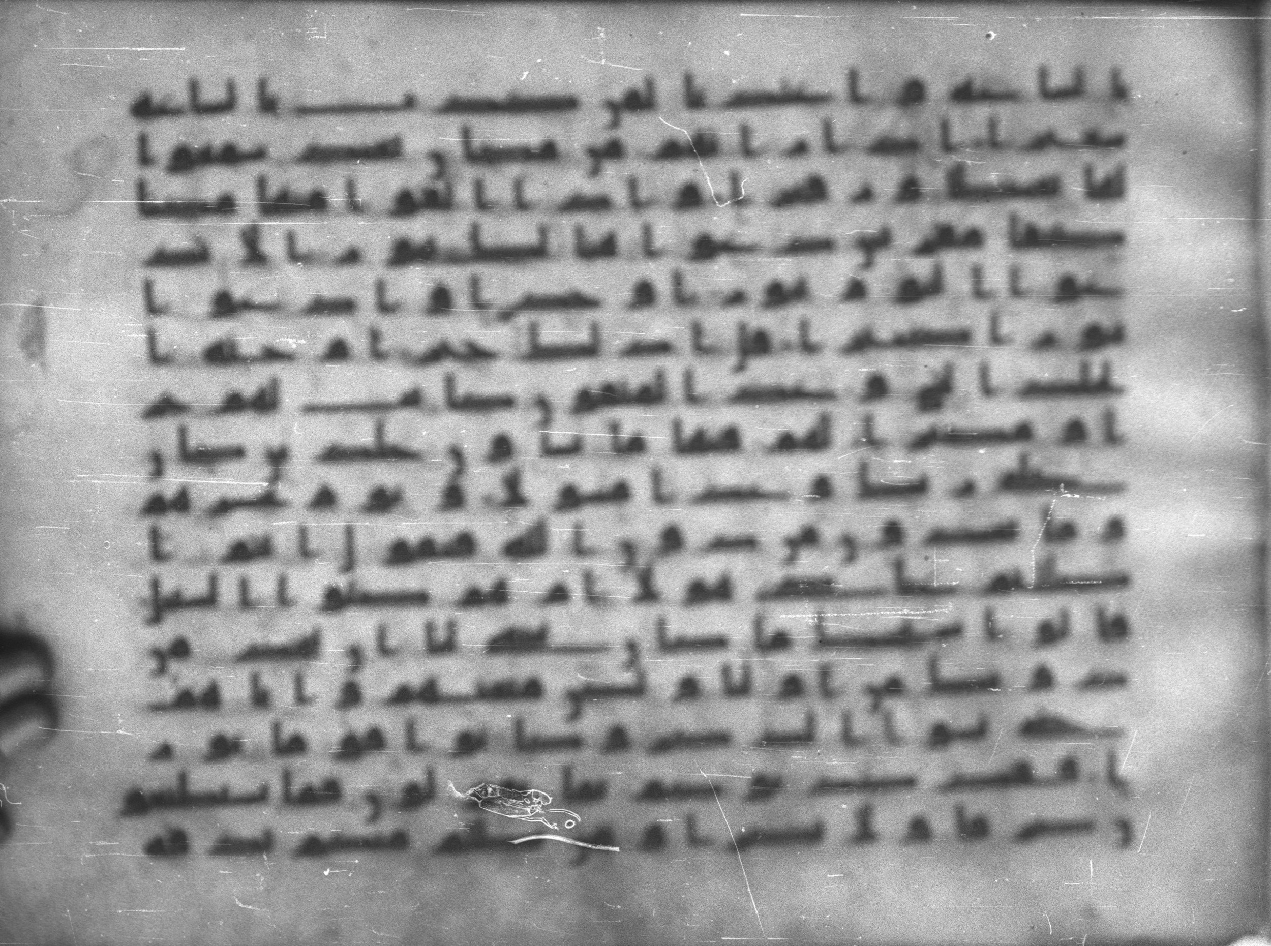 Topkapı Palace Museum, Saray 50395, in Kūfī D IV script, showing Surah 25:13 from Mid 8th to Late 9th Century AD found in Unknown, currently housed at Topkapı Palace Museum (Topkapı Sarayı Müzesi), Istanbul, Turkey