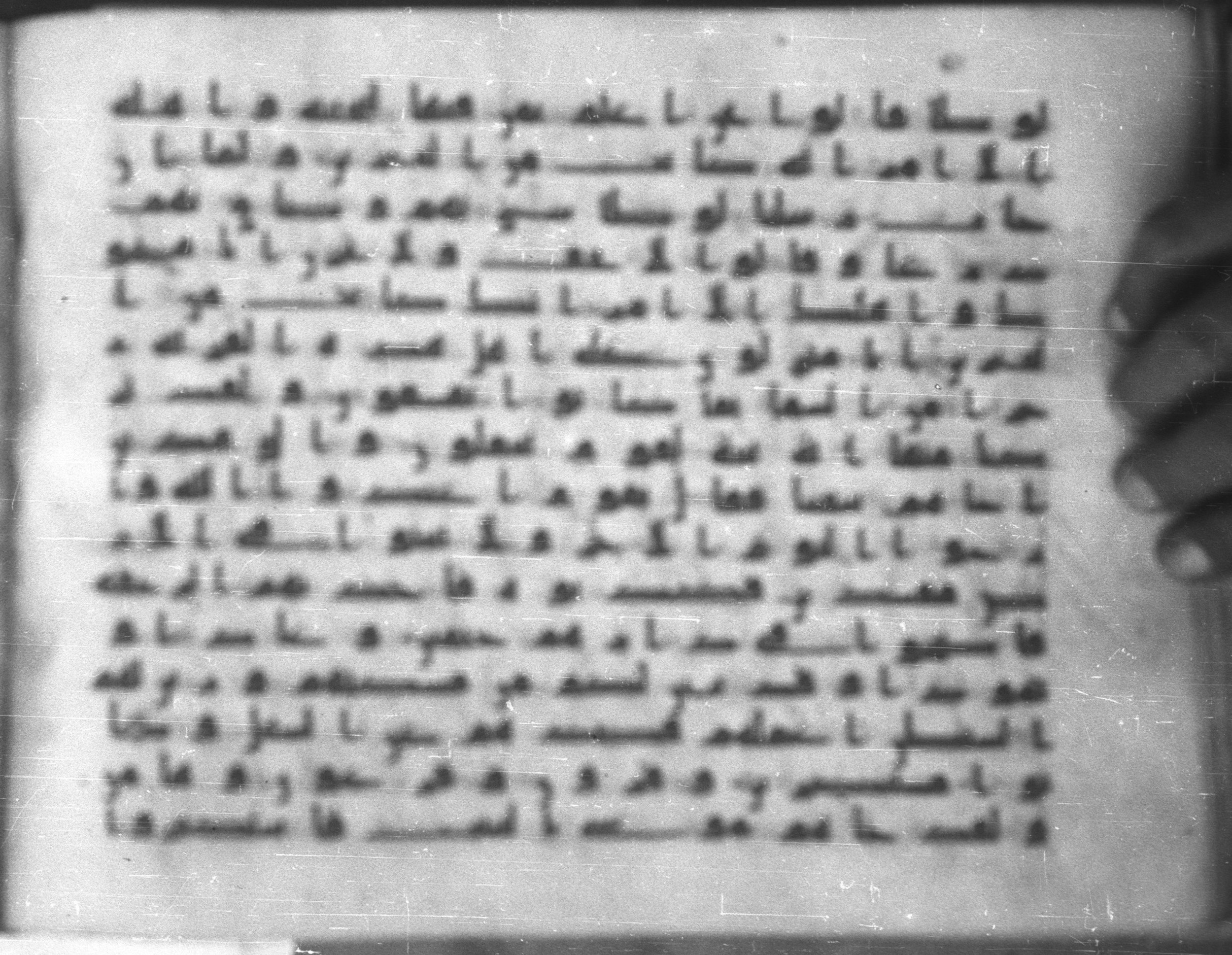 Topkapı Palace Museum, Saray 50395 (Scan 1), in Kūfī D IV script, showing Surah 29:39 from Mid 8th to Late 9th Century AD found in Unknown, currently housed at Topkapı Palace Museum (Topkapı Sarayı Müzesi), Istanbul, Turkey