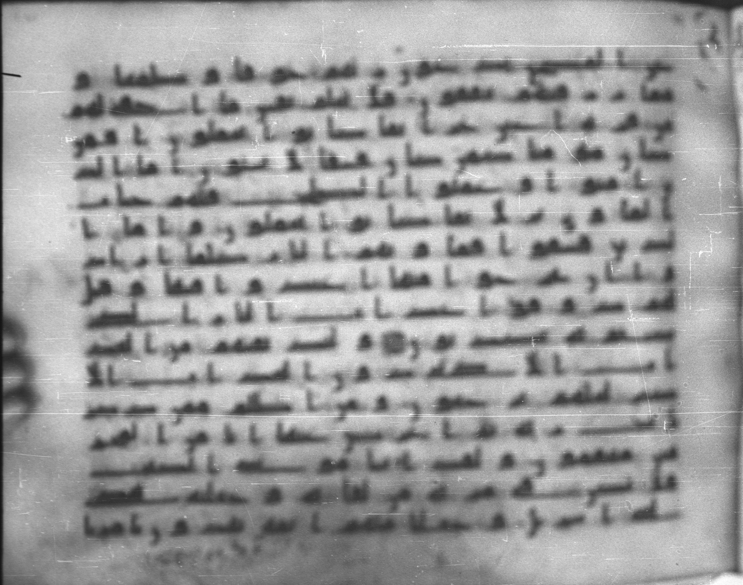 Topkapı Palace Museum, Saray 50395, in Kūfī D IV script, showing Surah 32:18 from Mid 8th to Late 9th Century AD found in Unknown, currently housed at Topkapı Palace Museum (Topkapı Sarayı Müzesi), Istanbul, Turkey