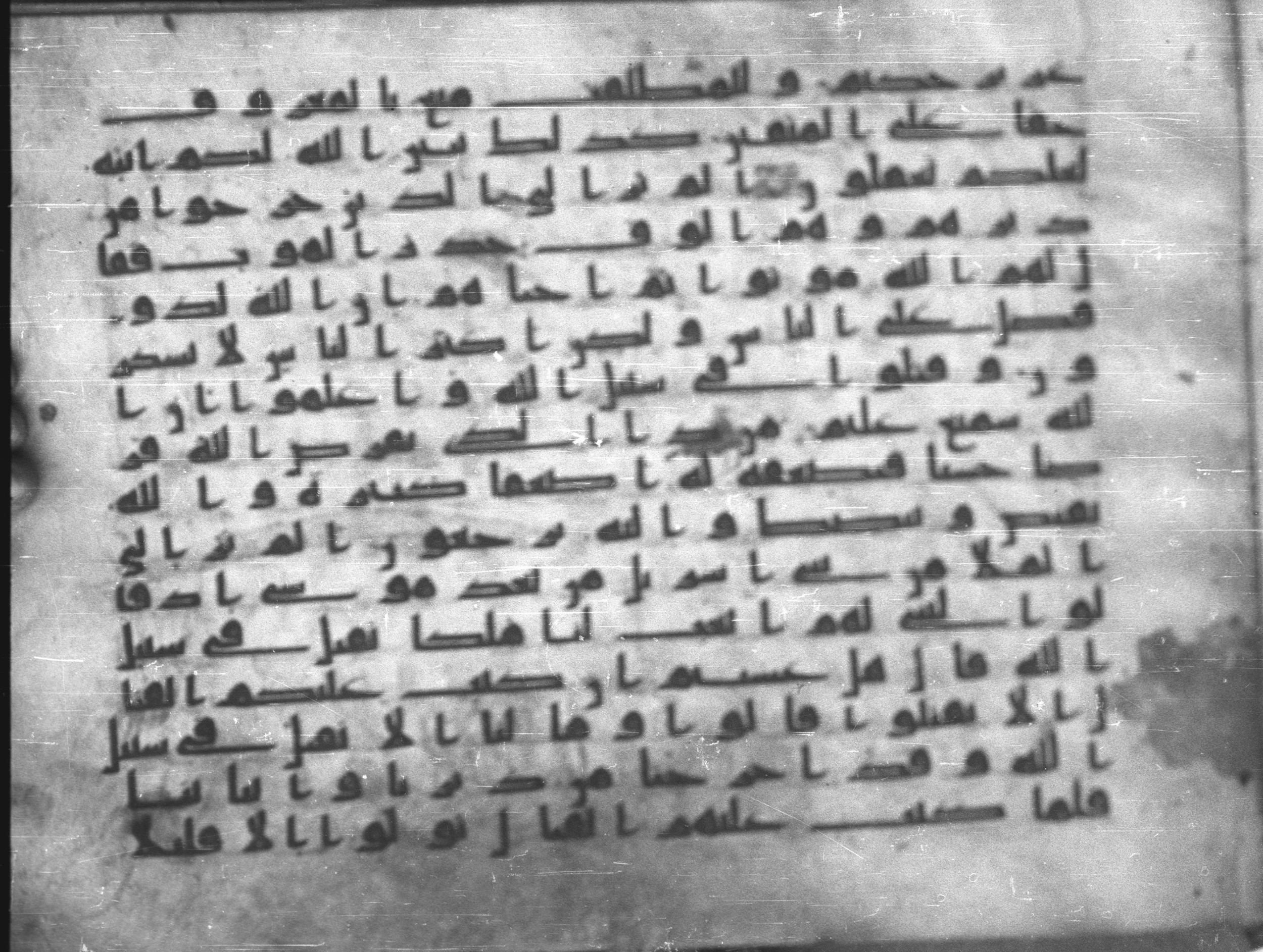 Topkapı Palace Museum, Saray 50395, in Kūfī D IV script, showing Surah 2:243 from Mid 8th to Late 9th Century AD found in Unknown, currently housed at Topkapı Palace Museum (Topkapı Sarayı Müzesi), Istanbul, Turkey