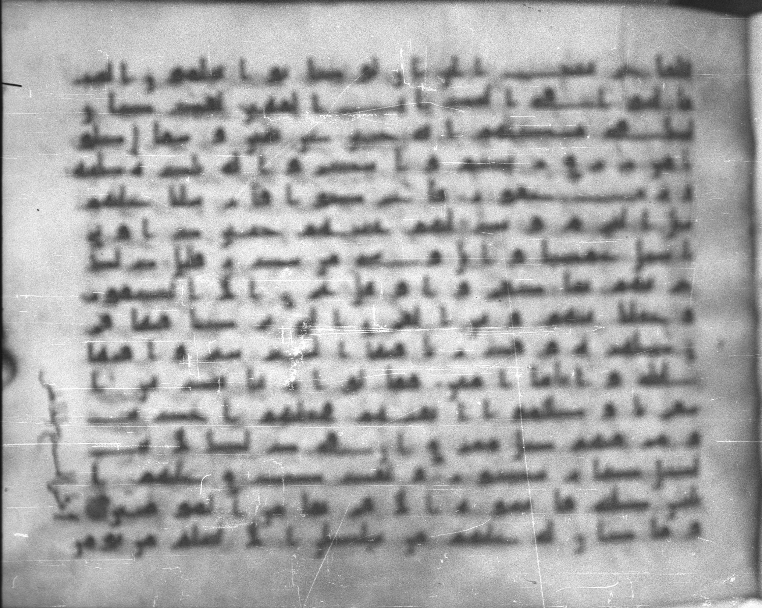 Topkapı Palace Museum, Saray 50395, in Kūfī D IV script, showing Surah 34:16 from Mid 8th to Late 9th Century AD found in Unknown, currently housed at Topkapı Palace Museum (Topkapı Sarayı Müzesi), Istanbul, Turkey