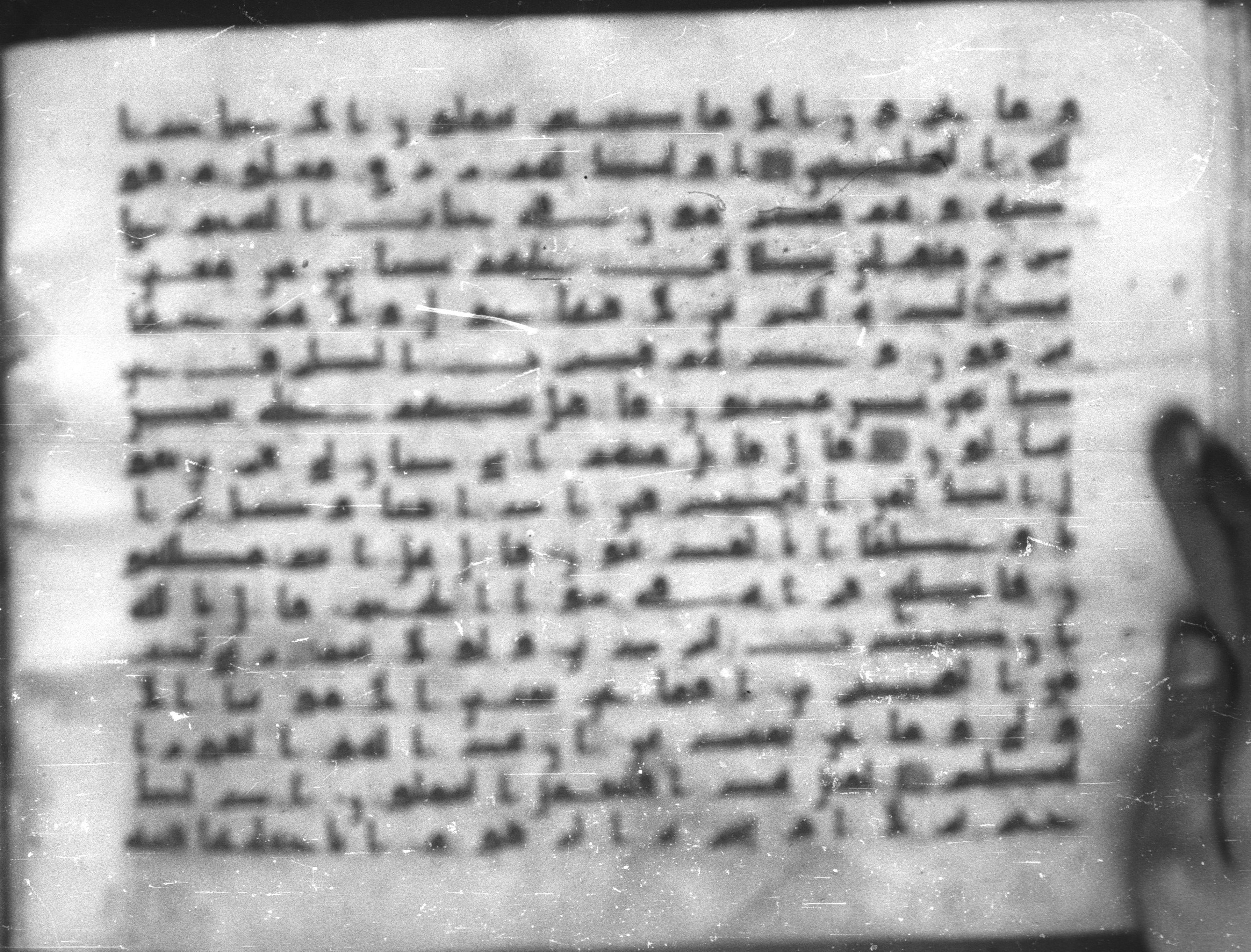 Topkapı Palace Museum, Saray 50395 (Scan 1), in Kūfī D IV script, showing Surah 37:49 from Mid 8th to Late 9th Century AD found in Unknown, currently housed at Topkapı Palace Museum (Topkapı Sarayı Müzesi), Istanbul, Turkey
