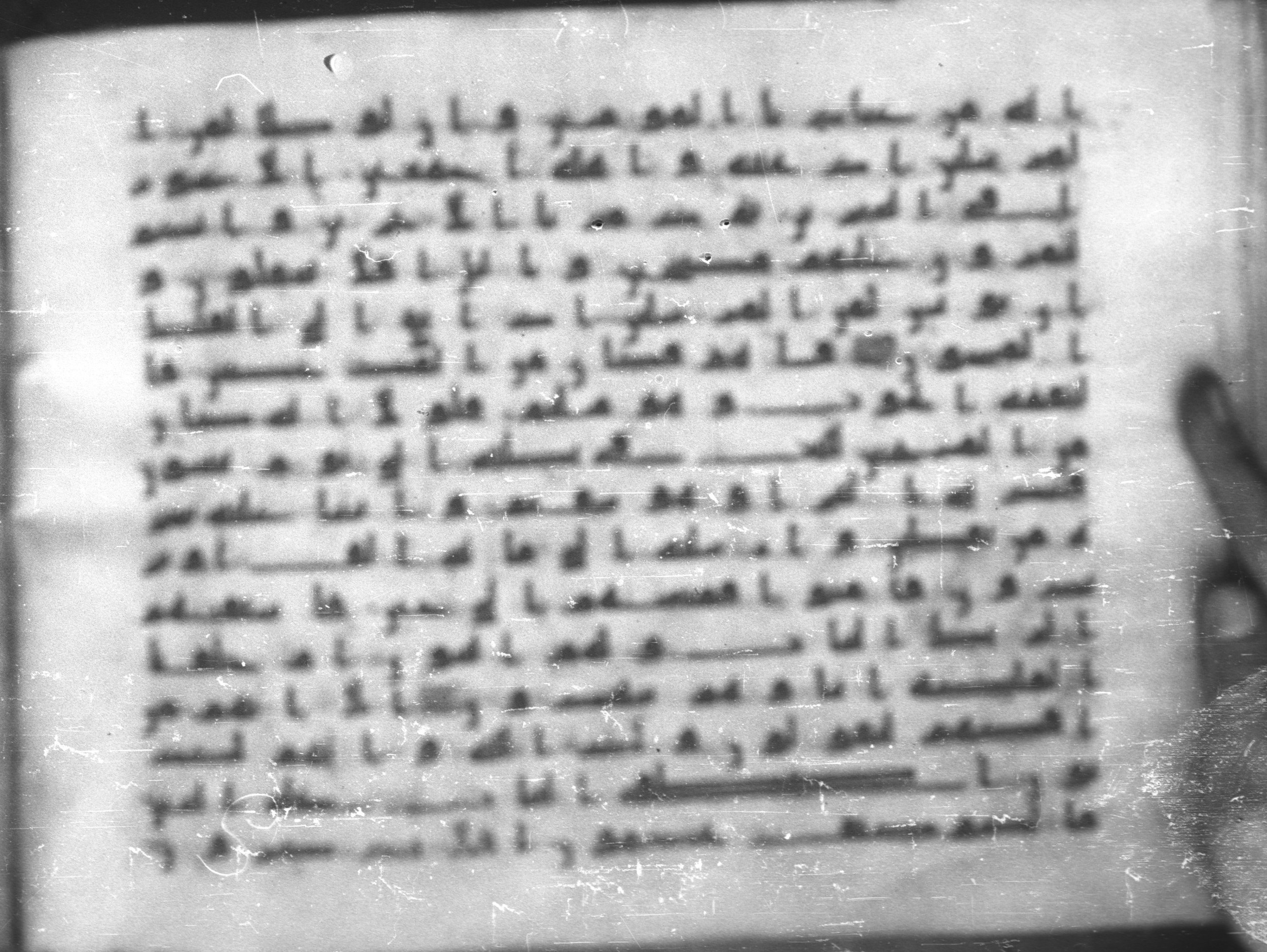 Topkapı Palace Museum, Saray 50395 (Scan 1), in Kūfī D IV script, showing Surah 37:136 from Mid 8th to Late 9th Century AD found in Unknown, currently housed at Topkapı Palace Museum (Topkapı Sarayı Müzesi), Istanbul, Turkey