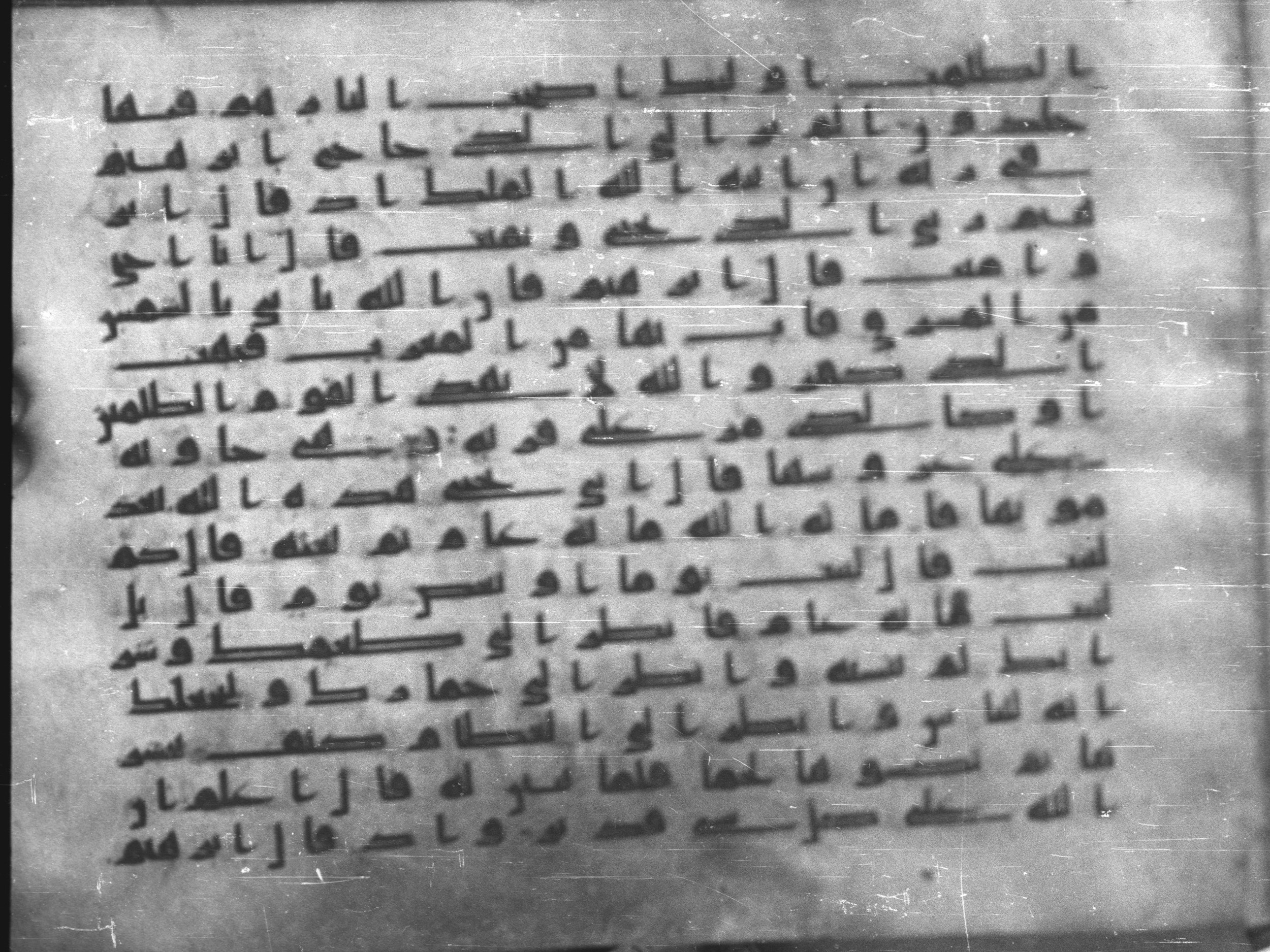 Topkapı Palace Museum, Saray 50395, in Kūfī D IV script, showing Surah 2:259 from Mid 8th to Late 9th Century AD found in Unknown, currently housed at Topkapı Palace Museum (Topkapı Sarayı Müzesi), Istanbul, Turkey