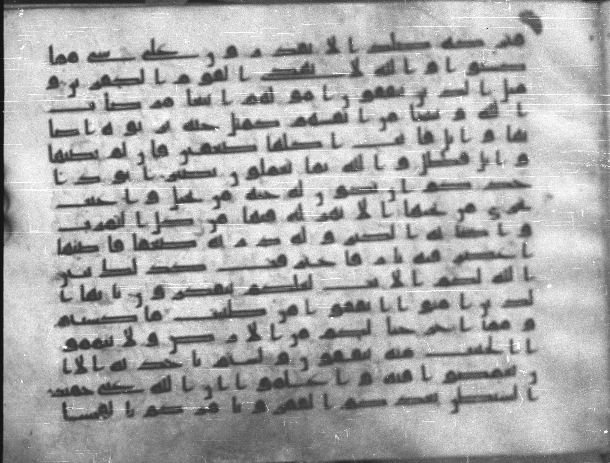 Topkapı Palace Museum, Saray 50395 (Scan 3), in Kūfī D IV script, showing Surah 2:264 from Mid 8th to Late 9th Century AD found in Unknown, currently housed at Topkapı Palace Museum (Topkapı Sarayı Müzesi), Istanbul, Turkey
