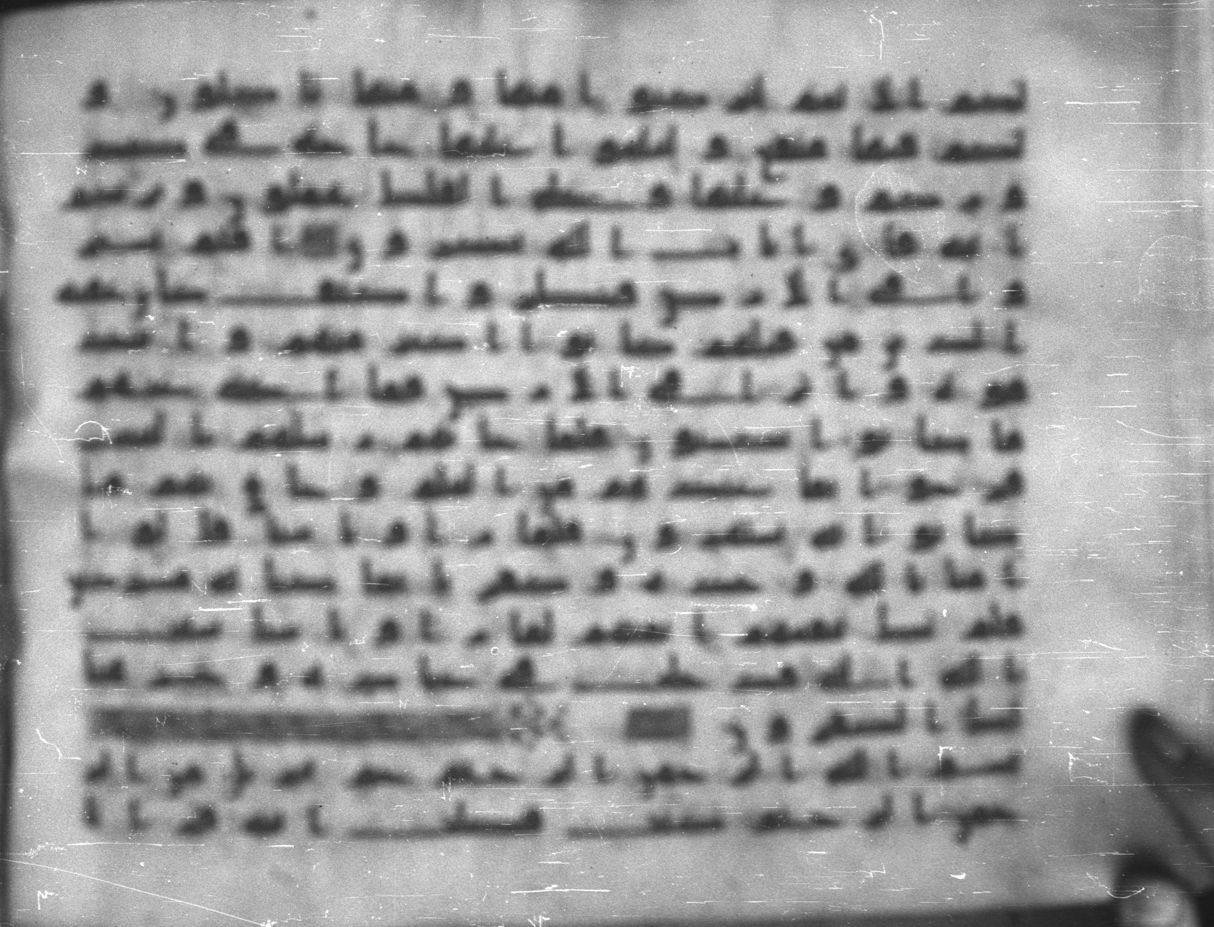 Topkapı Palace Museum, Saray 50395 (Scan 1), in Kūfī D IV script, showing Surah 41:2 from Mid 8th to Late 9th Century AD found in Unknown, currently housed at Topkapı Palace Museum (Topkapı Sarayı Müzesi), Istanbul, Turkey