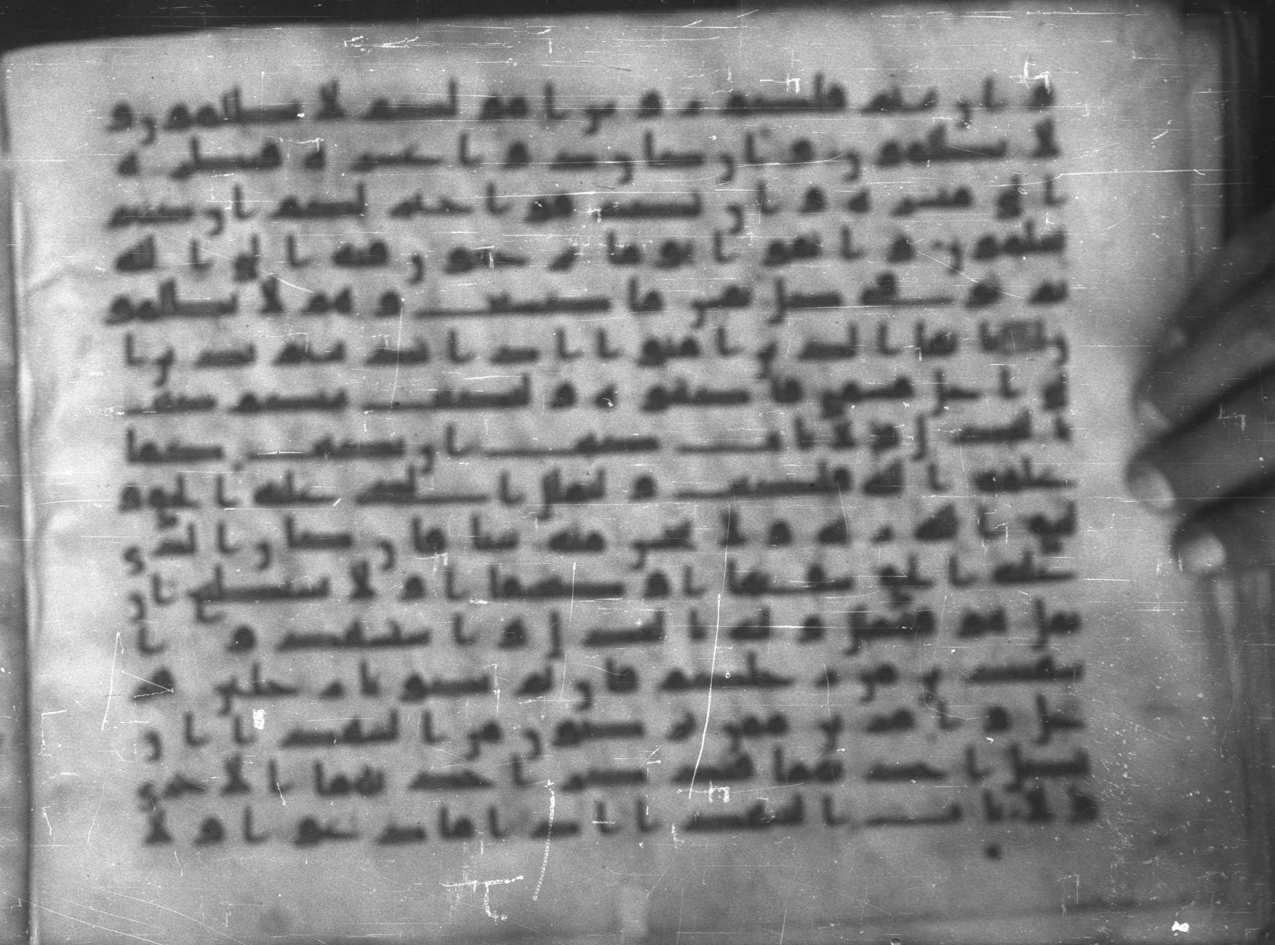 Topkapı Palace Museum, Saray 50395 (Scan 1), in Kūfī D IV script, showing Surah 2:281 from Mid 8th to Late 9th Century AD found in Unknown, currently housed at Topkapı Palace Museum (Topkapı Sarayı Müzesi), Istanbul, Turkey