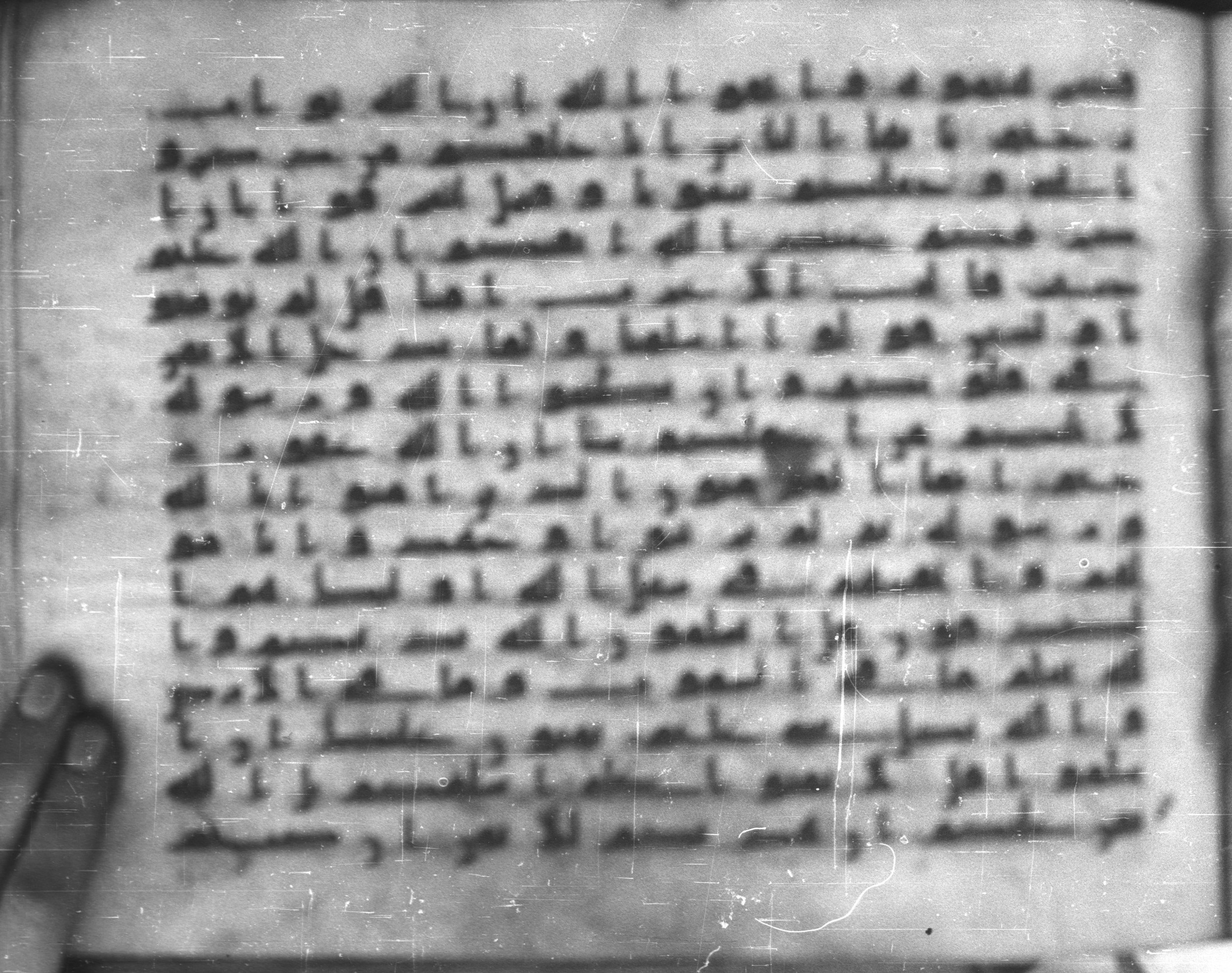 Topkapı Palace Museum, Saray 50395 (Scan 3), in Kūfī D IV script, showing Surah 49:12 from Mid 8th to Late 9th Century AD found in Unknown, currently housed at Topkapı Palace Museum (Topkapı Sarayı Müzesi), Istanbul, Turkey