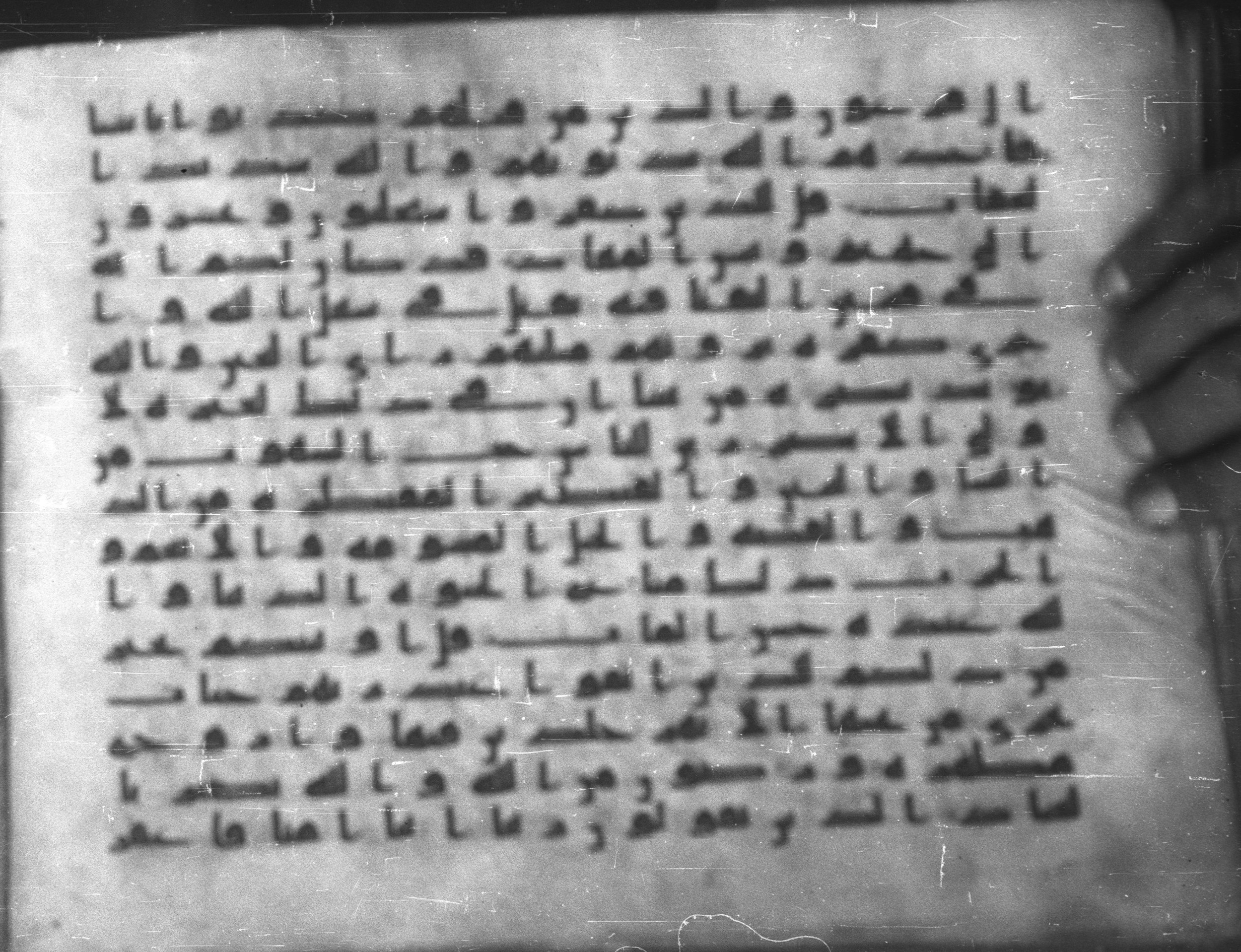 Topkapı Palace Museum, Saray 50395 (Scan 1), in Kūfī D IV script, showing Surah 3:16 from Mid 8th to Late 9th Century AD found in Unknown, currently housed at Topkapı Palace Museum (Topkapı Sarayı Müzesi), Istanbul, Turkey