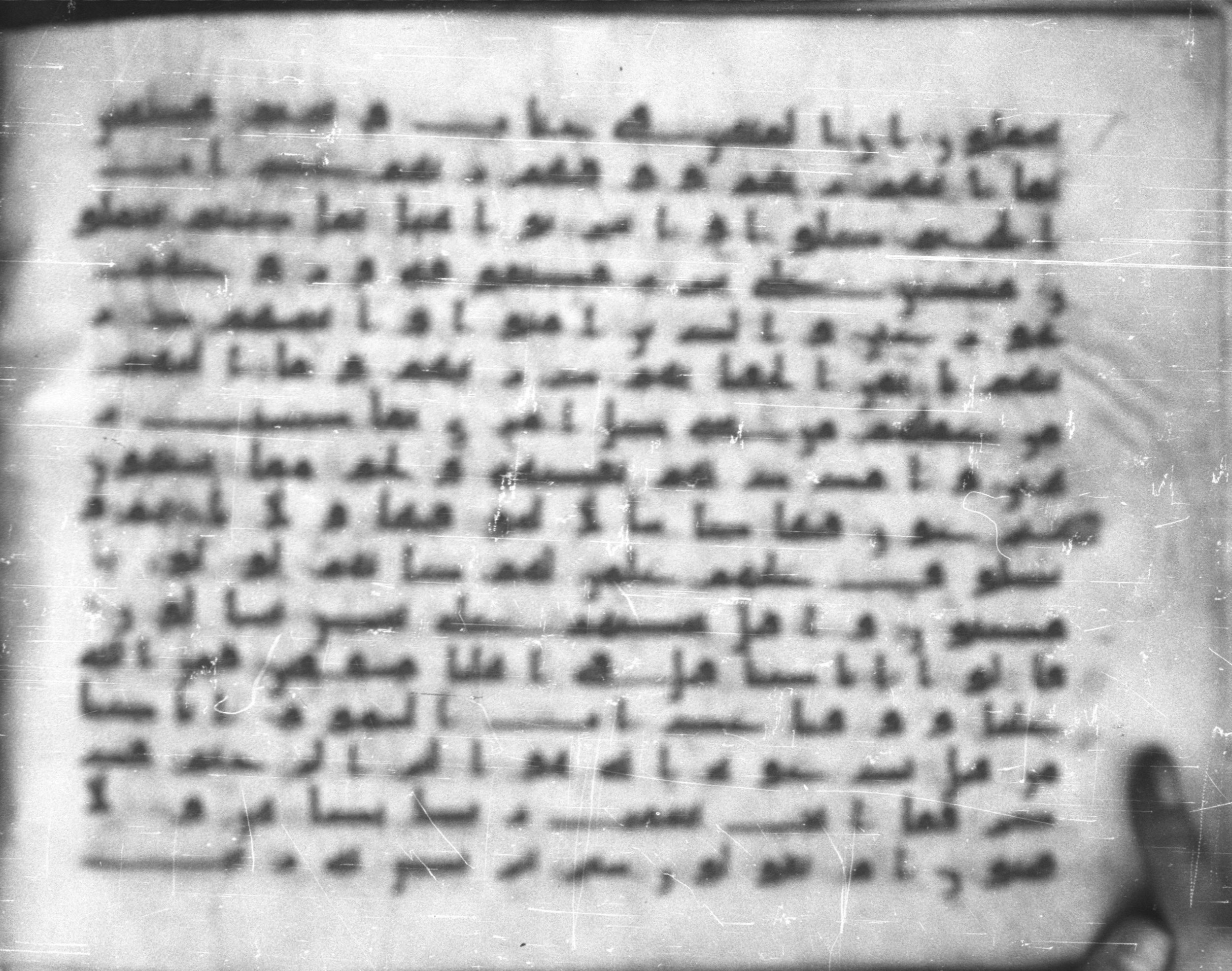 Topkapı Palace Museum, Saray 50395 (Scan 1), in Kūfī D IV script, showing Surah 52:21 from Mid 8th to Late 9th Century AD found in Unknown, currently housed at Topkapı Palace Museum (Topkapı Sarayı Müzesi), Istanbul, Turkey