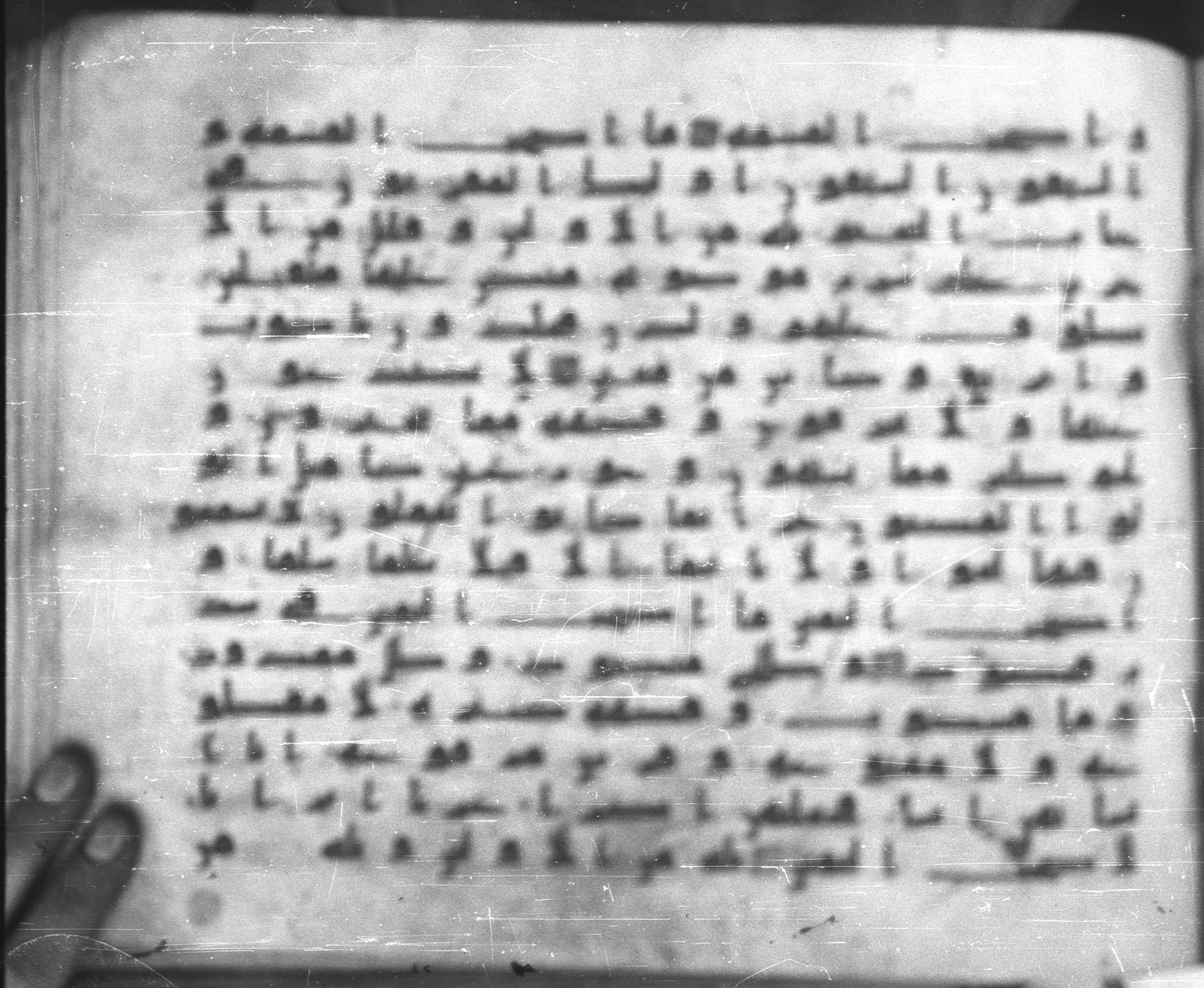 Topkapı Palace Museum, Saray 50395, in Kūfī D IV script, showing Surah 56:21 from Mid 8th to Late 9th Century AD found in Unknown, currently housed at Topkapı Palace Museum (Topkapı Sarayı Müzesi), Istanbul, Turkey