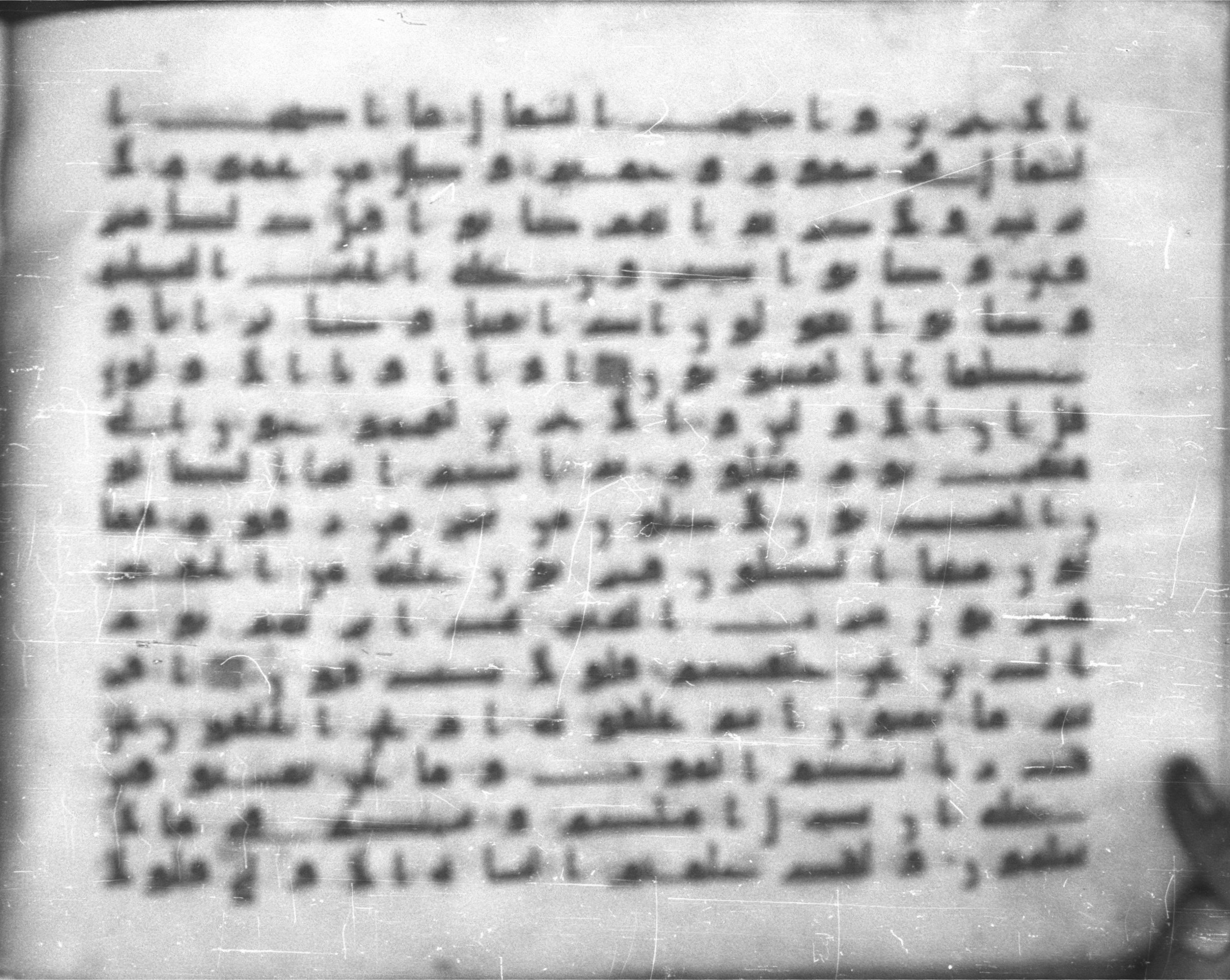 Topkapı Palace Museum, Saray 50395 (Scan 1), in Kūfī D IV script, showing Surah 56:41 from Mid 8th to Late 9th Century AD found in Unknown, currently housed at Topkapı Palace Museum (Topkapı Sarayı Müzesi), Istanbul, Turkey