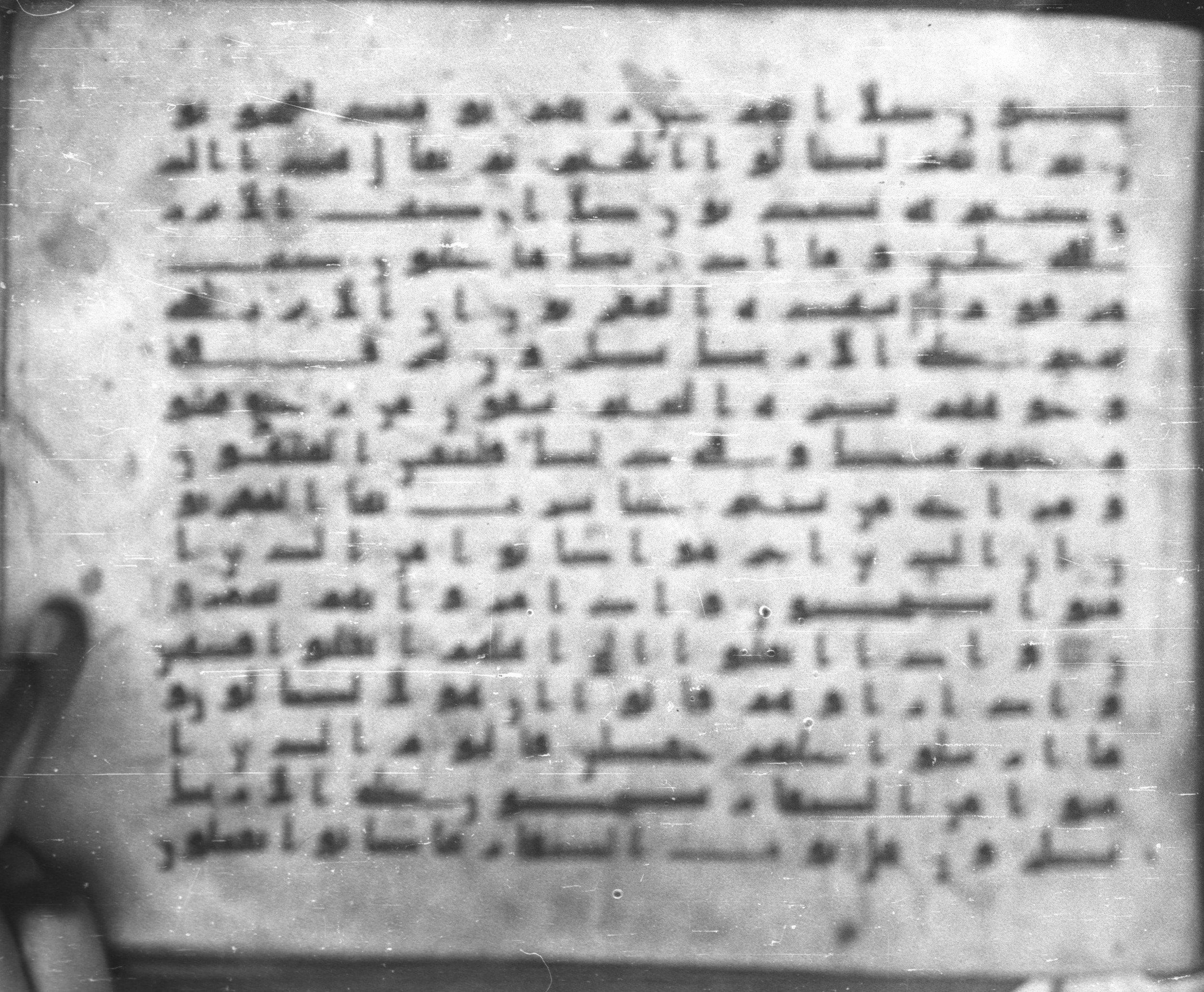 Topkapı Palace Museum, Saray 50395, in Kūfī D IV script, showing Surah 83:21 from Mid 8th to Late 9th Century AD found in Unknown, currently housed at Topkapı Palace Museum (Topkapı Sarayı Müzesi), Istanbul, Turkey