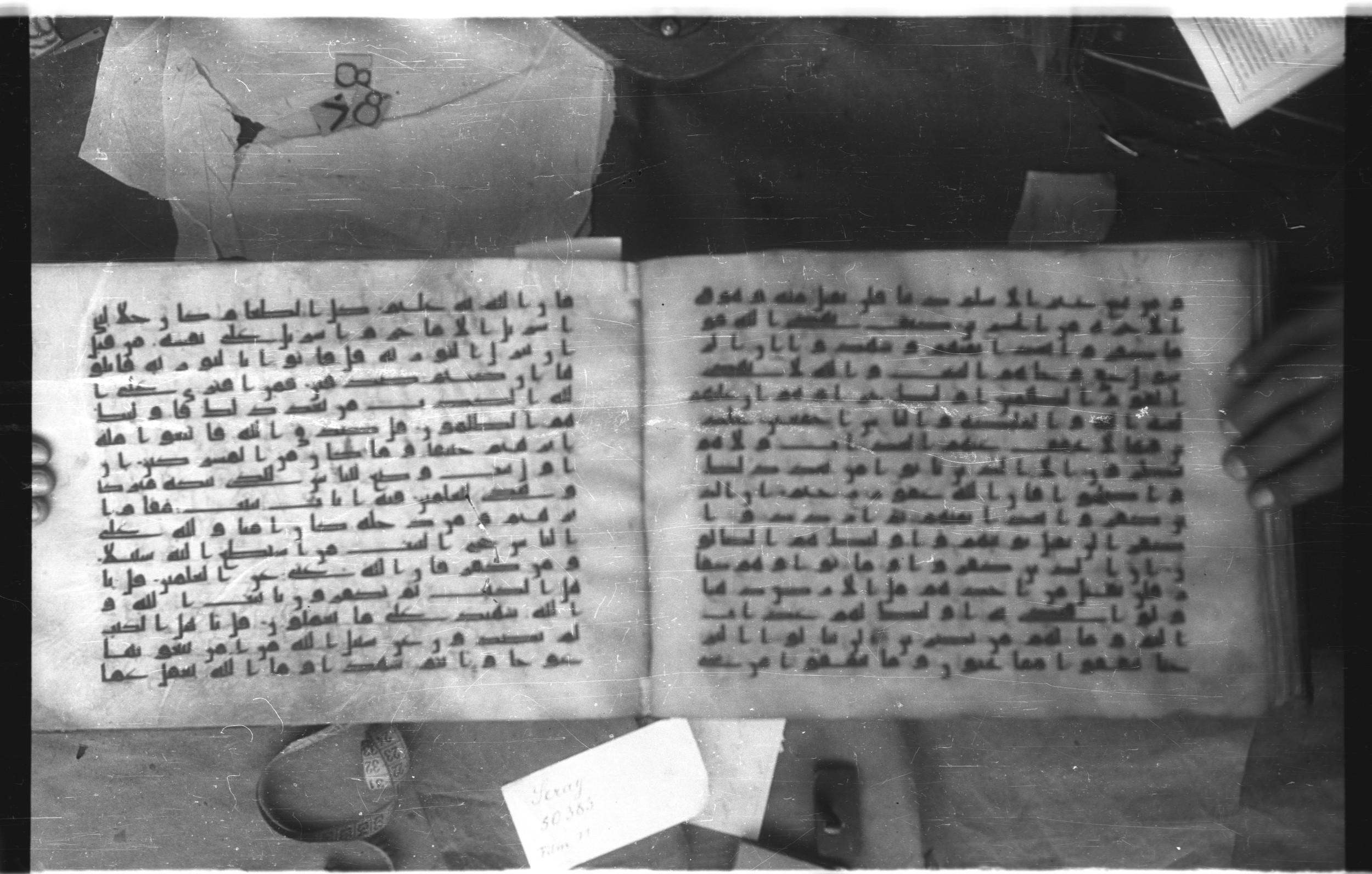 Topkapı Palace Museum, Saray 50395 (Scan 2), in Kūfī D IV script, showing Surah 3:89 from Mid 8th to Late 9th Century AD found in Unknown, currently housed at Topkapı Palace Museum (Topkapı Sarayı Müzesi), Istanbul, Turkey
