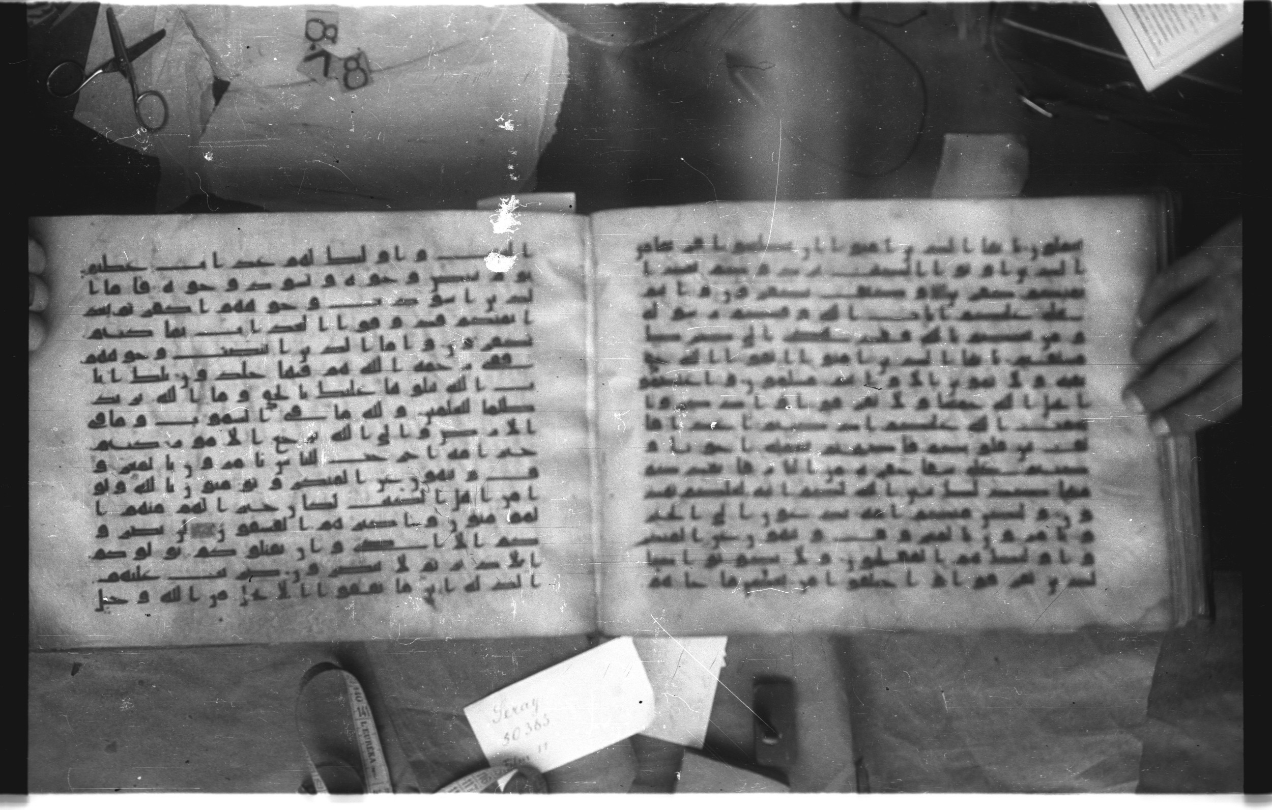 Topkapı Palace Museum, Saray 50395 (Scan 2), in Kūfī D IV script, showing Surah 3:103 from Mid 8th to Late 9th Century AD found in Unknown, currently housed at Topkapı Palace Museum (Topkapı Sarayı Müzesi), Istanbul, Turkey