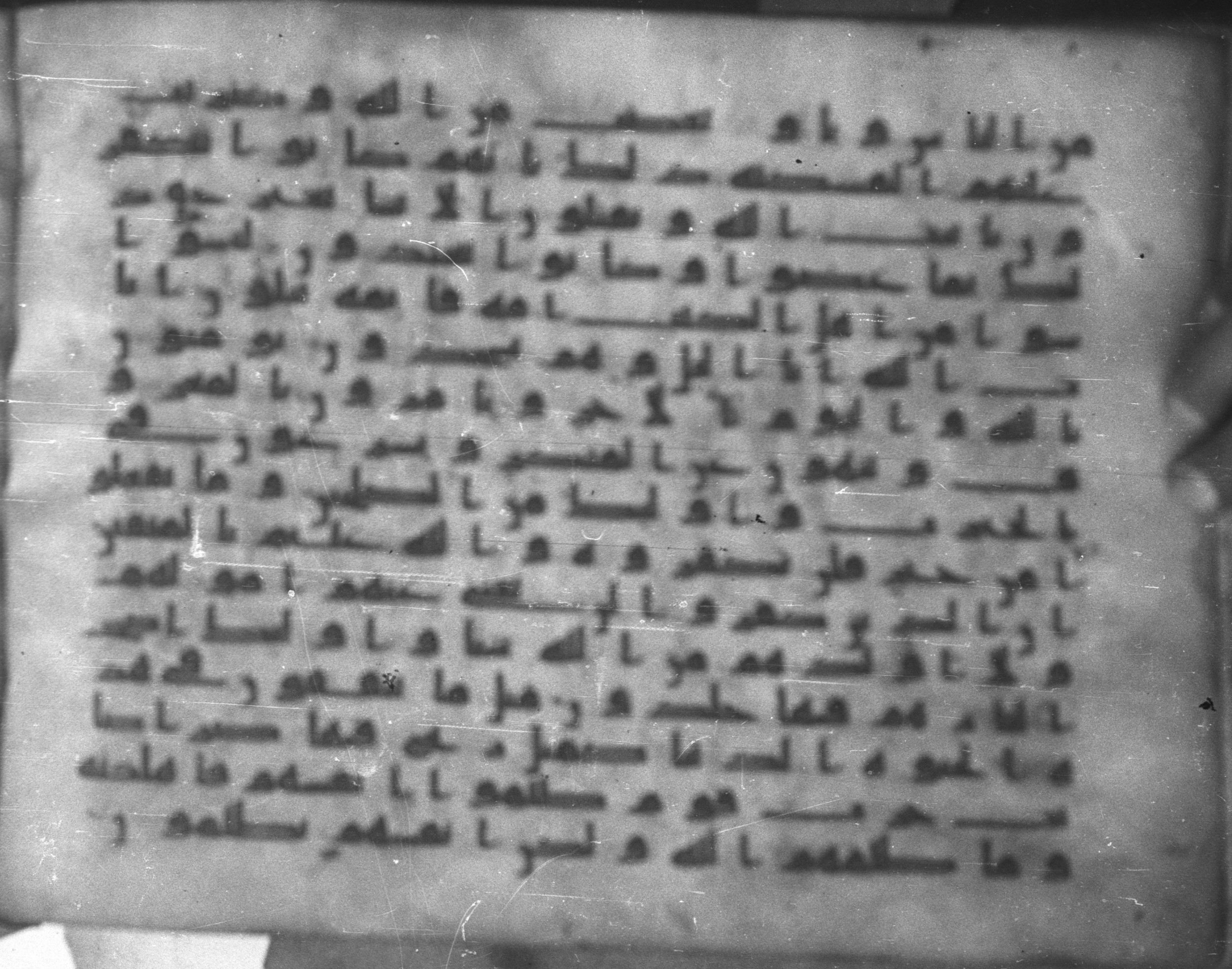 Topkapı Palace Museum, Saray 50395 (Scan 1), in Kūfī D IV script, showing Surah 3:116 from Mid 8th to Late 9th Century AD found in Unknown, currently housed at Topkapı Palace Museum (Topkapı Sarayı Müzesi), Istanbul, Turkey
