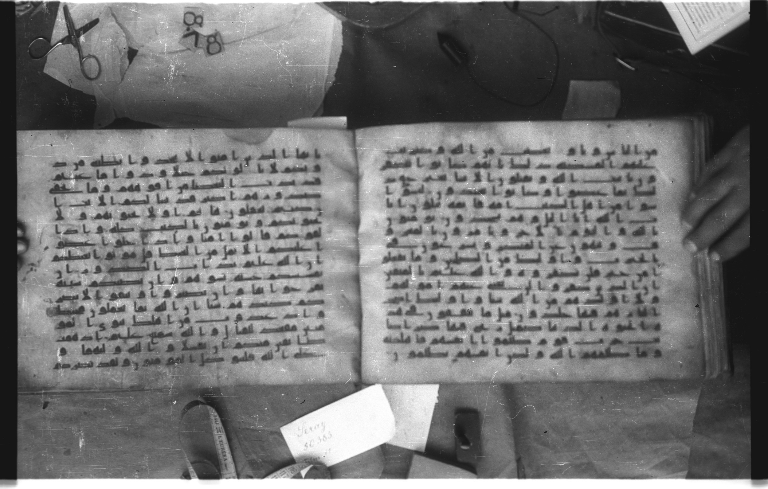 Topkapı Palace Museum, Saray 50395 (Scan 2), in Kūfī D IV script, showing Surah 3:116 from Mid 8th to Late 9th Century AD found in Unknown, currently housed at Topkapı Palace Museum (Topkapı Sarayı Müzesi), Istanbul, Turkey