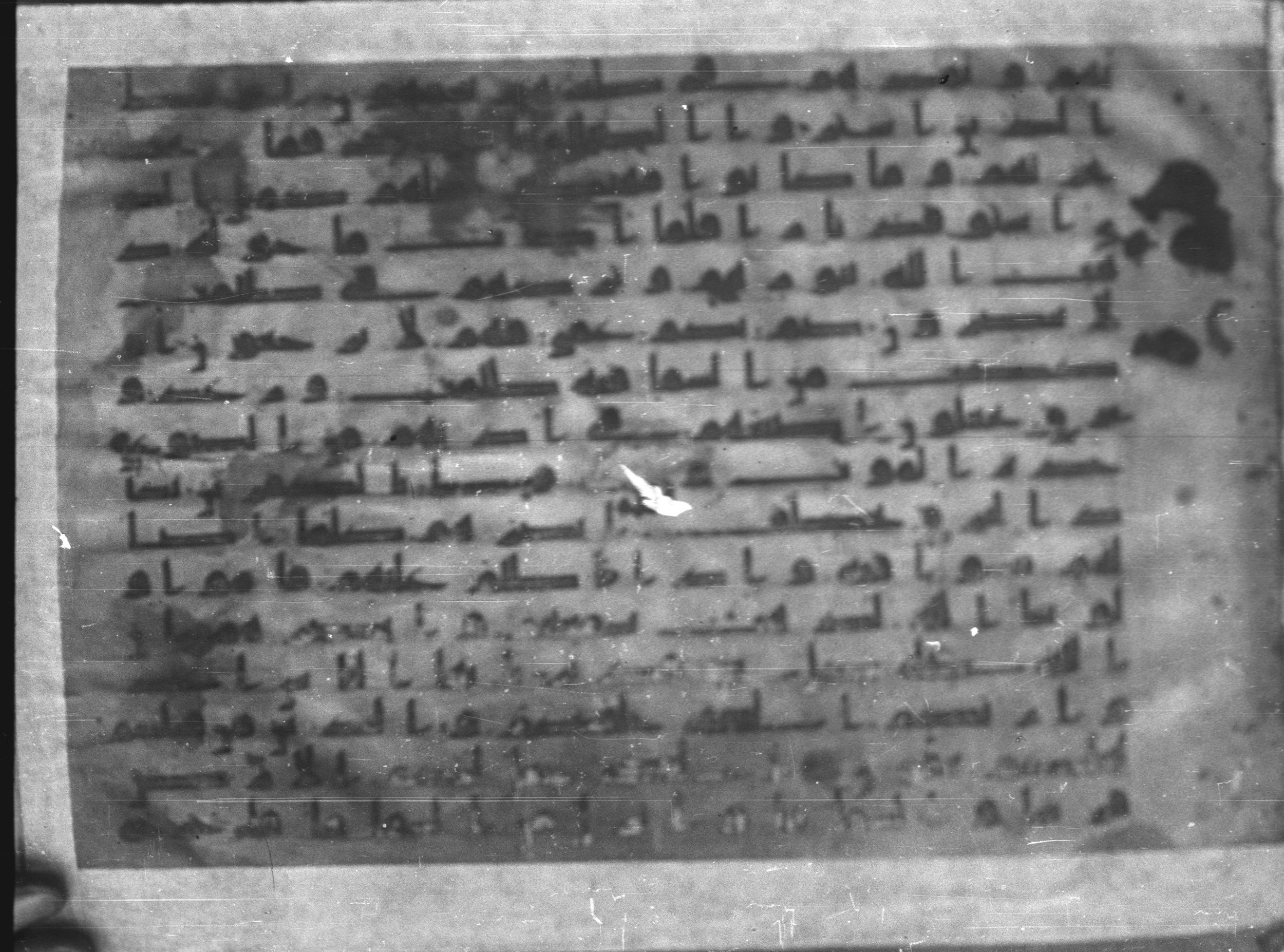 Topkapı Palace Museum, Saray 50395 (Scan 1), in Kūfī D IV script, showing Surah 2:22 from Mid 8th to Late 9th Century AD found in Unknown, currently housed at Topkapı Palace Museum (Topkapı Sarayı Müzesi), Istanbul, Turkey