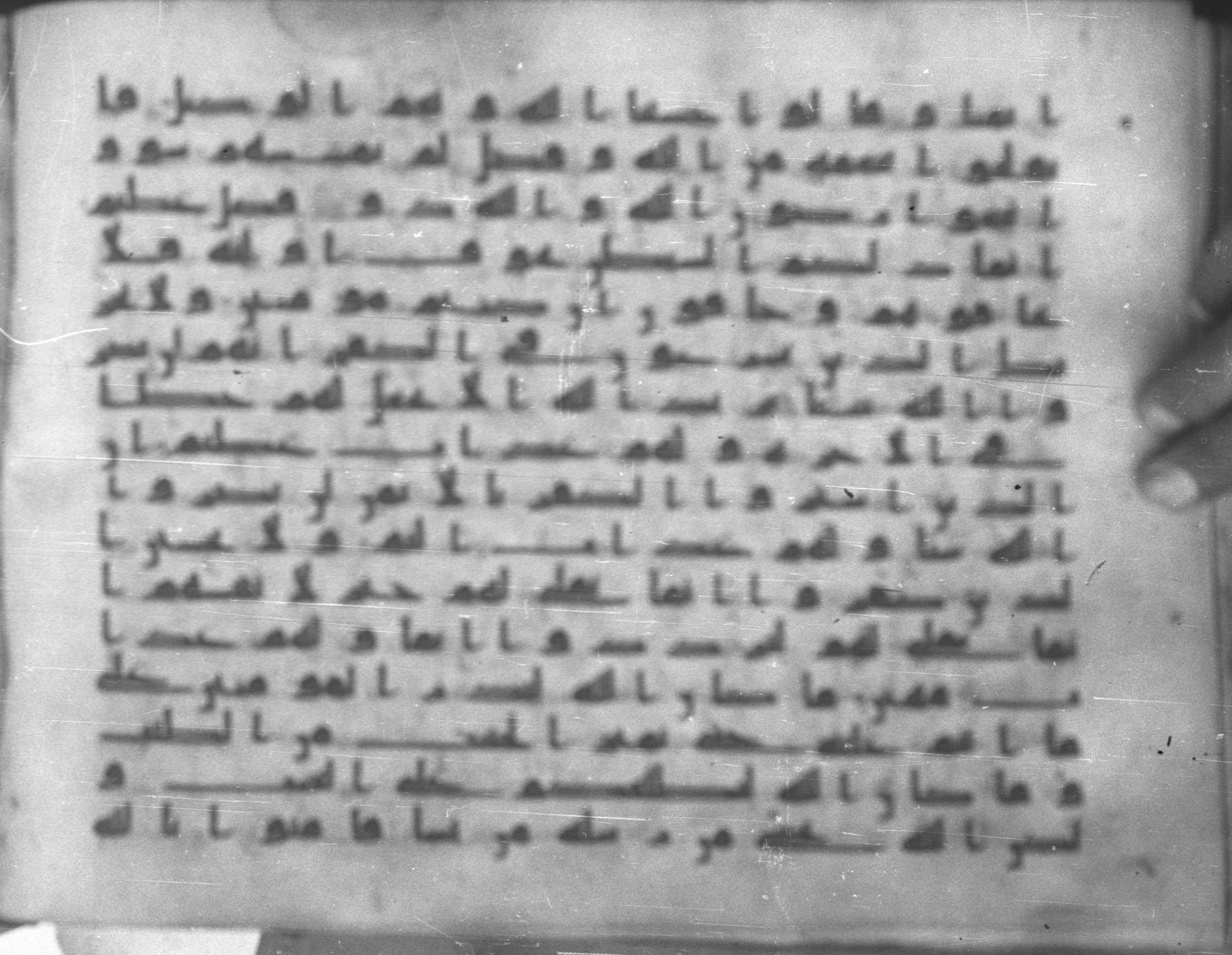 Topkapı Palace Museum, Saray 50395 (Scan 1), in Kūfī D IV script, showing Surah 3:175 from Mid 8th to Late 9th Century AD found in Unknown, currently housed at Topkapı Palace Museum (Topkapı Sarayı Müzesi), Istanbul, Turkey
