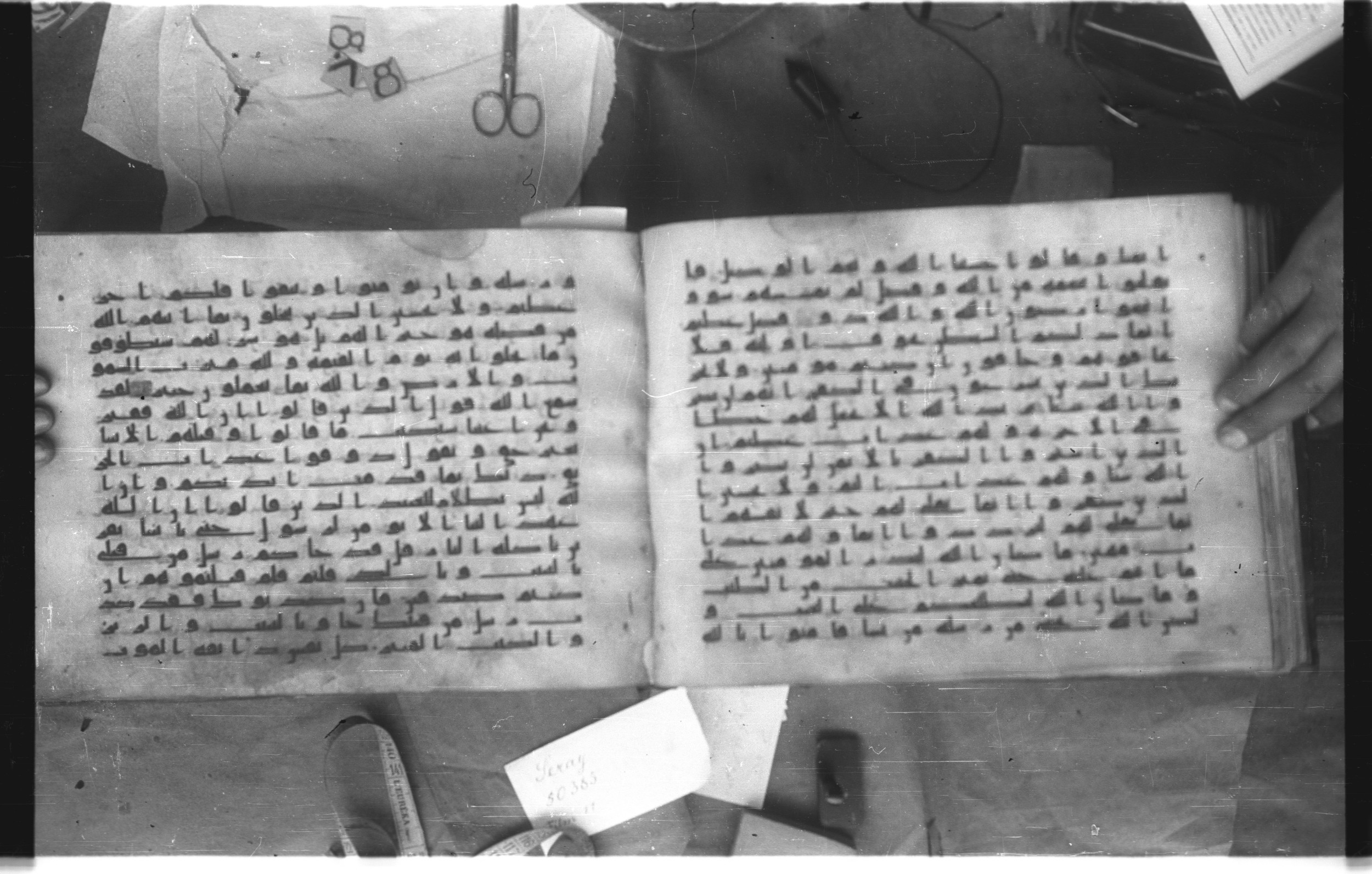 Topkapı Palace Museum, Saray 50395 (Scan 2), in Kūfī D IV script, showing Surah 3:175 from Mid 8th to Late 9th Century AD found in Unknown, currently housed at Topkapı Palace Museum (Topkapı Sarayı Müzesi), Istanbul, Turkey