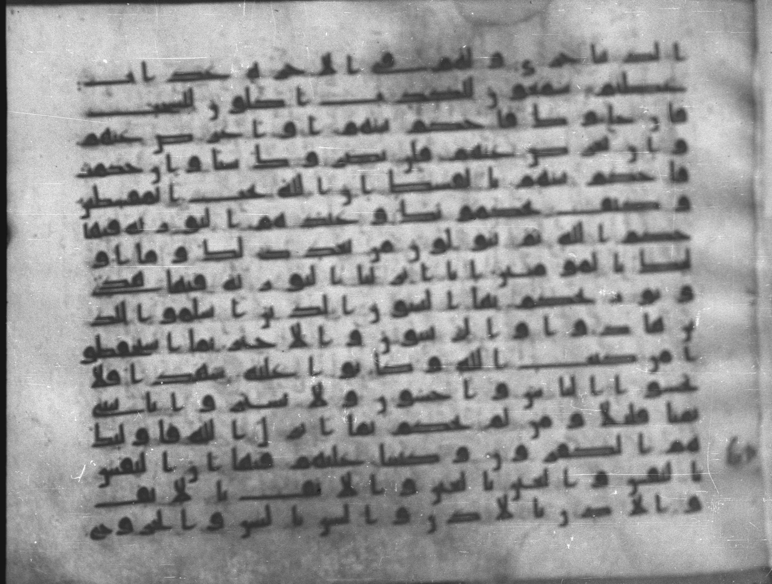 Topkapı Palace Museum, Saray 50395, in Kūfī D IV script, showing Surah 5:43 from Mid 8th to Late 9th Century AD found in Unknown, currently housed at Topkapı Palace Museum (Topkapı Sarayı Müzesi), Istanbul, Turkey