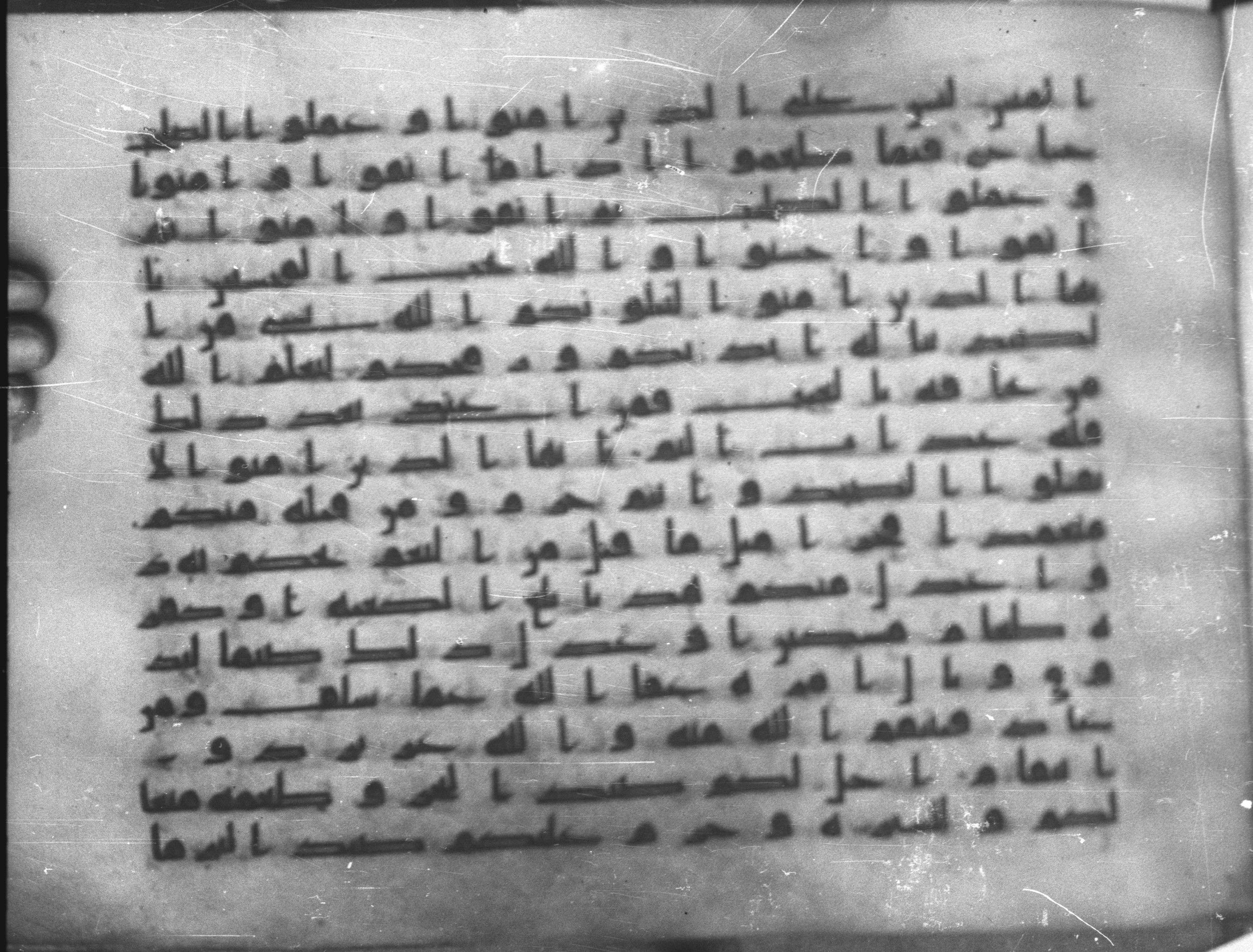 Topkapı Palace Museum, Saray 50395, in Kūfī D IV script, showing Surah 5:95 from Mid 8th to Late 9th Century AD found in Unknown, currently housed at Topkapı Palace Museum (Topkapı Sarayı Müzesi), Istanbul, Turkey