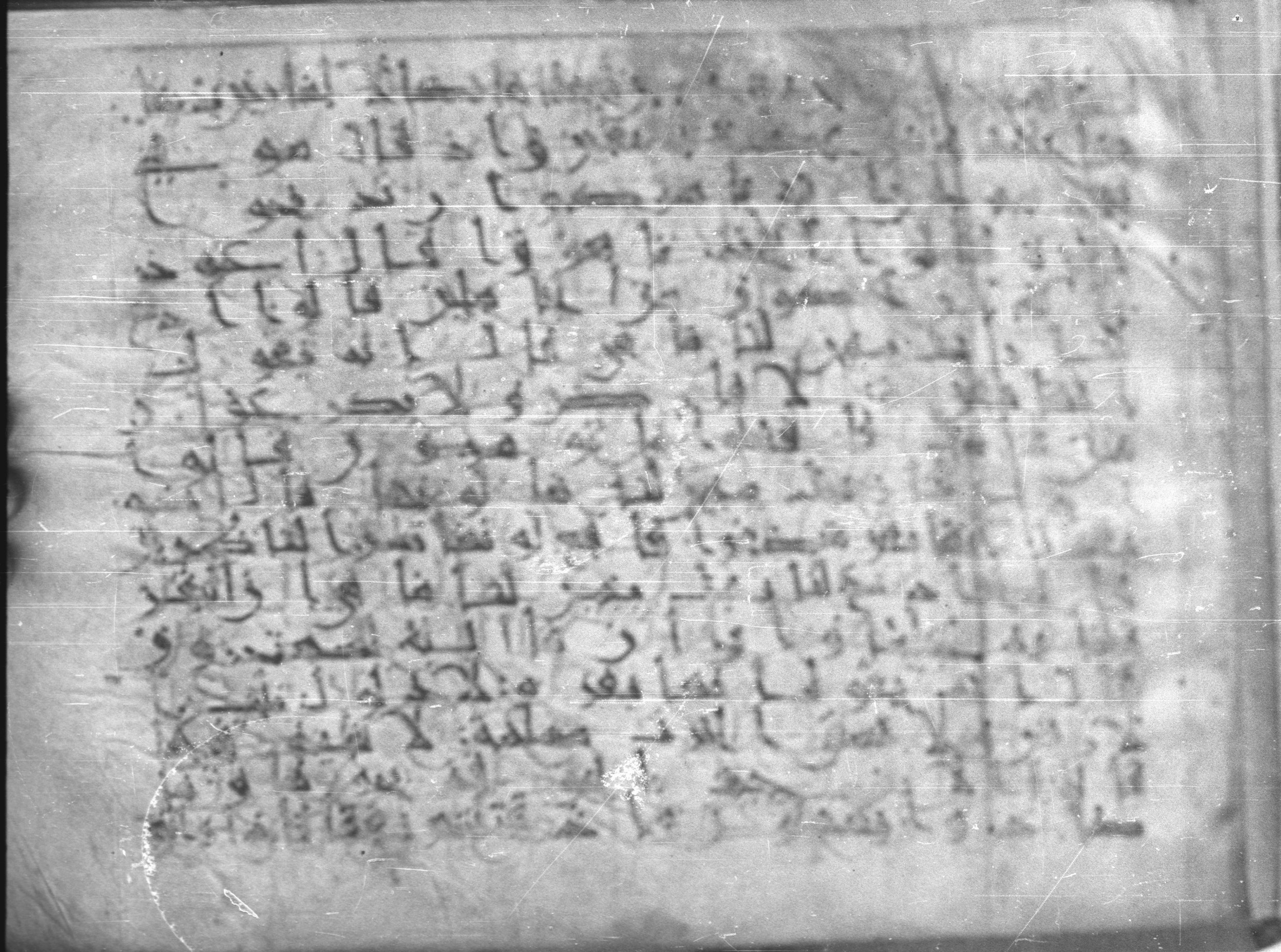 Topkapı Palace Museum, Saray 50395, in Kūfī D IV script, showing Surah 2:71 from Mid 8th to Late 9th Century AD found in Unknown, currently housed at Topkapı Palace Museum (Topkapı Sarayı Müzesi), Istanbul, Turkey