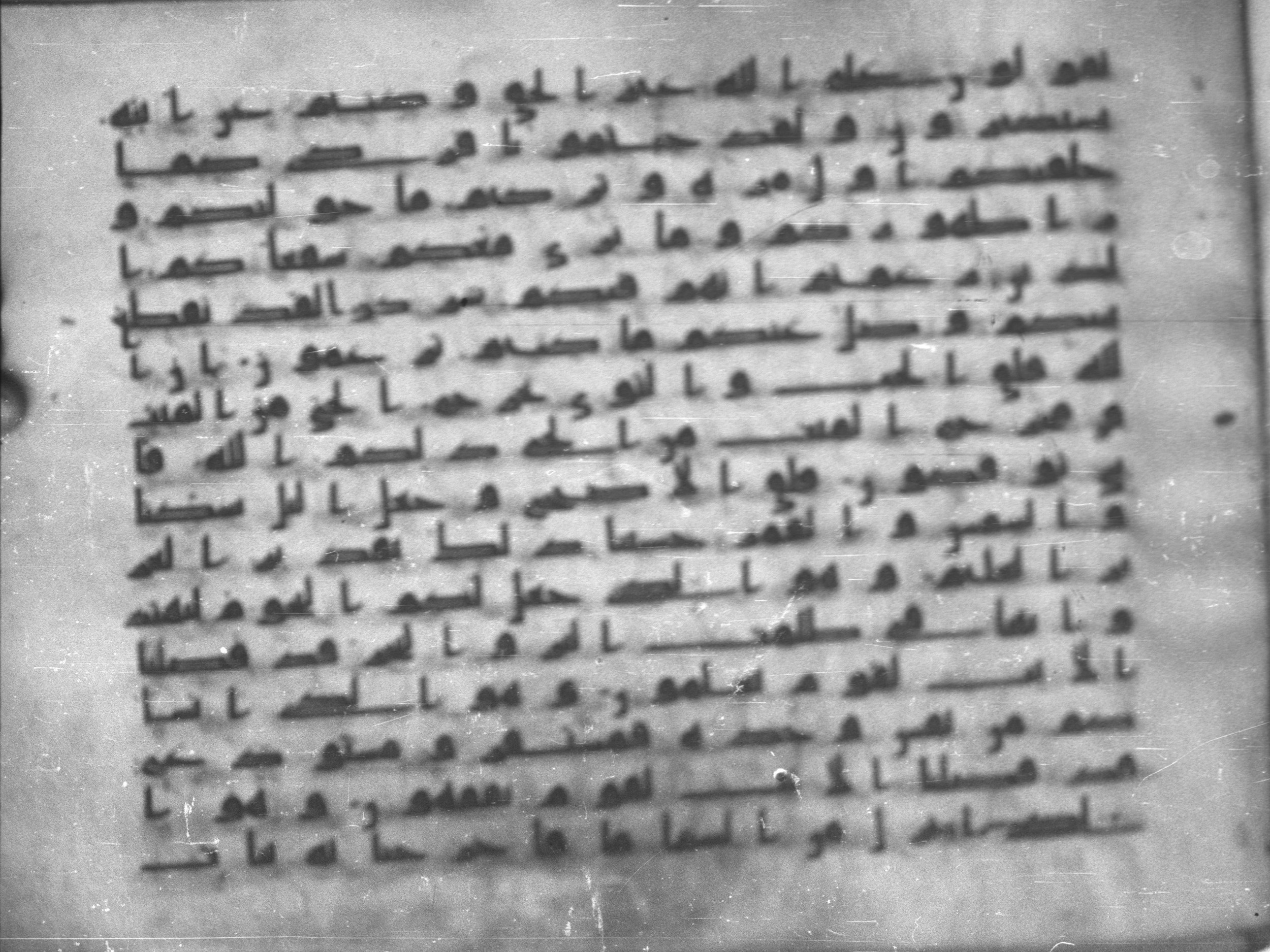 Topkapı Palace Museum, Saray 50395, in Kūfī D IV script, showing Surah 6:95 from Mid 8th to Late 9th Century AD found in Unknown, currently housed at Topkapı Palace Museum (Topkapı Sarayı Müzesi), Istanbul, Turkey