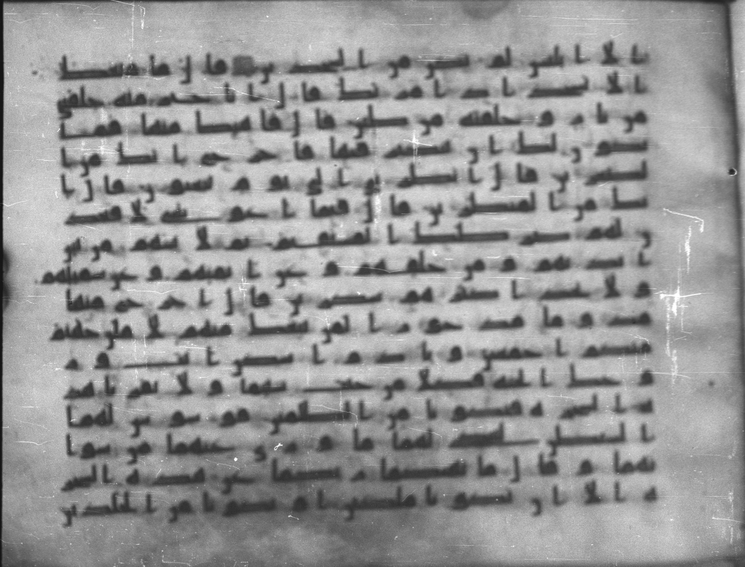 Topkapı Palace Museum, Saray 50395, in Kūfī D IV script, showing Surah 7:19 from Mid 8th to Late 9th Century AD found in Unknown, currently housed at Topkapı Palace Museum (Topkapı Sarayı Müzesi), Istanbul, Turkey