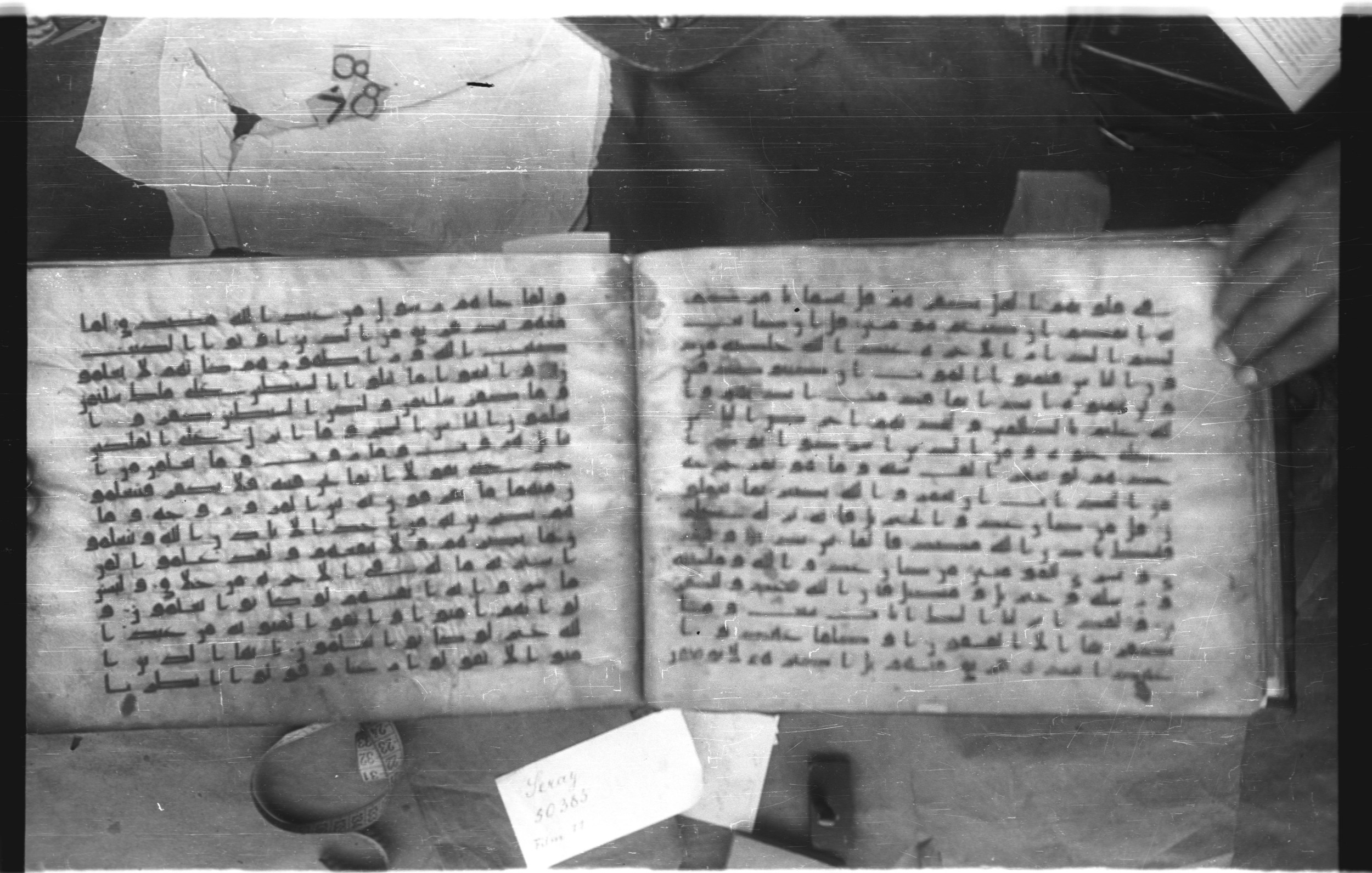 Topkapı Palace Museum, Saray 50395 (Scan 2), in Kūfī D IV script, showing Surah 2:96 from Mid 8th to Late 9th Century AD found in Unknown, currently housed at Topkapı Palace Museum (Topkapı Sarayı Müzesi), Istanbul, Turkey