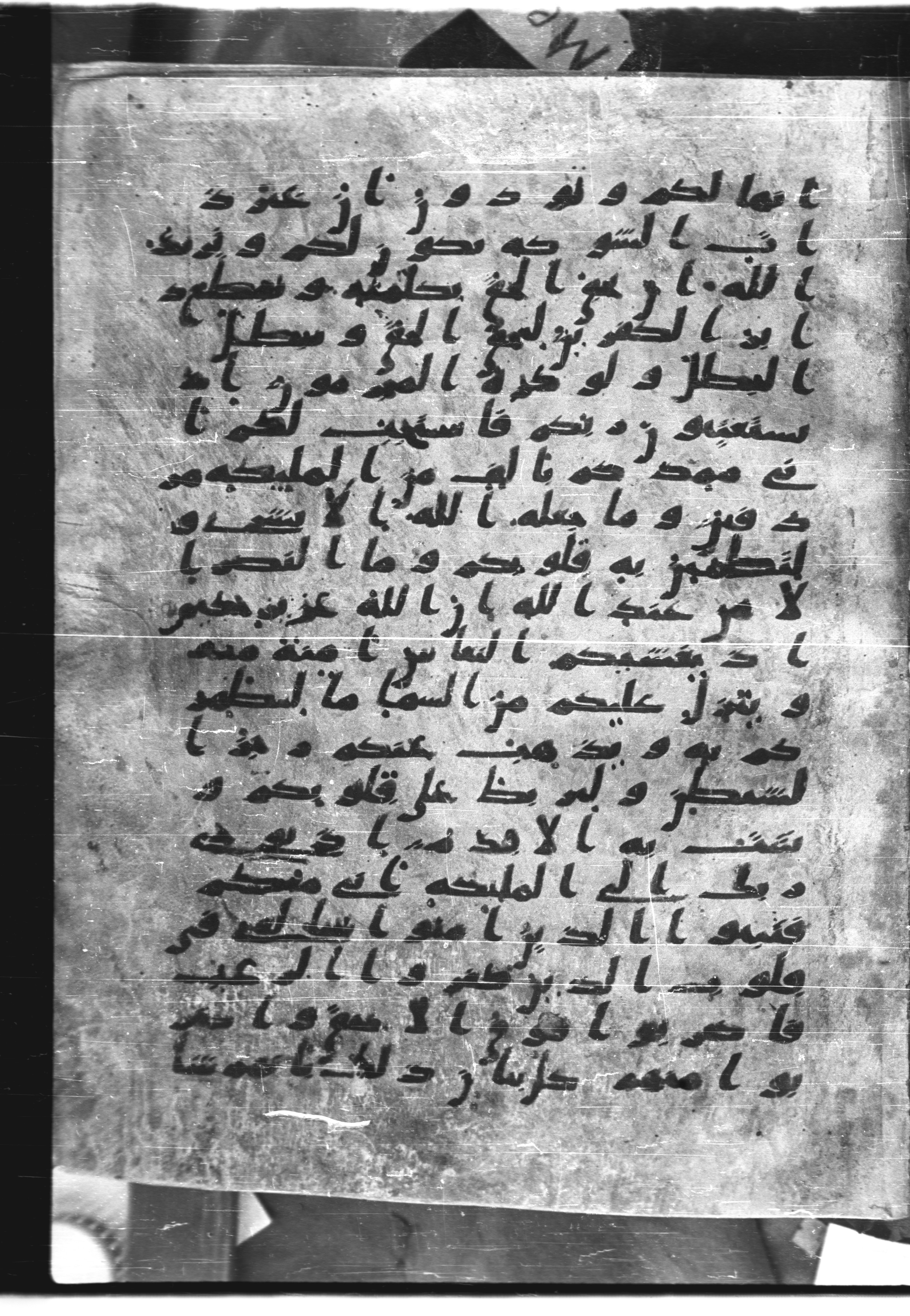 Saray Medina 1a (Karatay 3) (Scan 1), in Kūfī script, showing Surah 8:13 from 8th Century AD found in Medina, currently housed at Topkapı Palace Museum, Istanbul