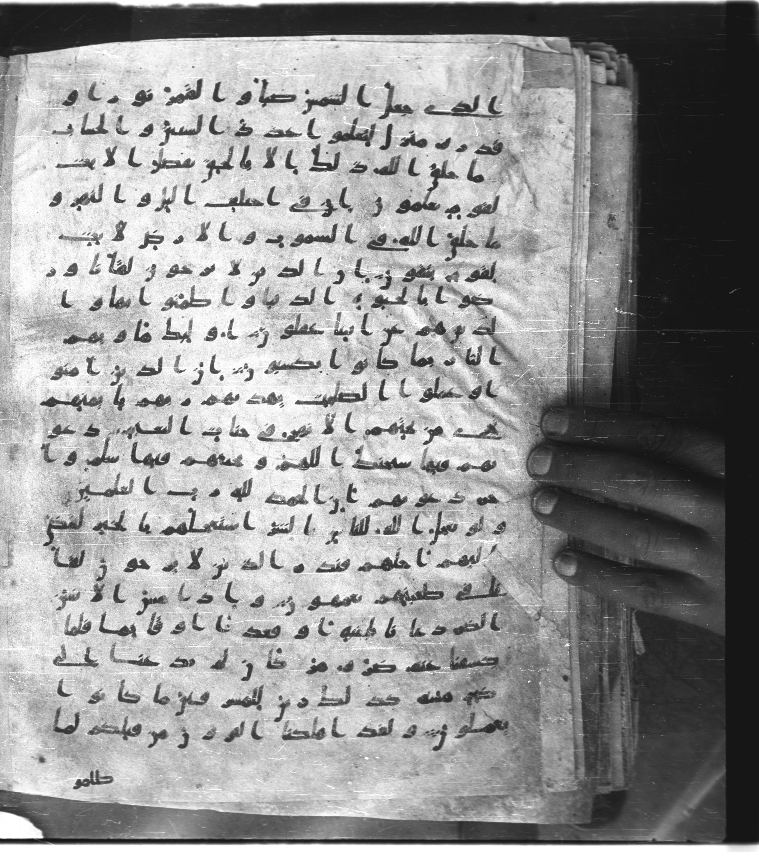 Saray Medina 1a (Karatay 3) (Scan 1), in Kūfī script, showing Surah 10:13 from 8th Century AD found in Medina, currently housed at Topkapı Palace Museum, Istanbul