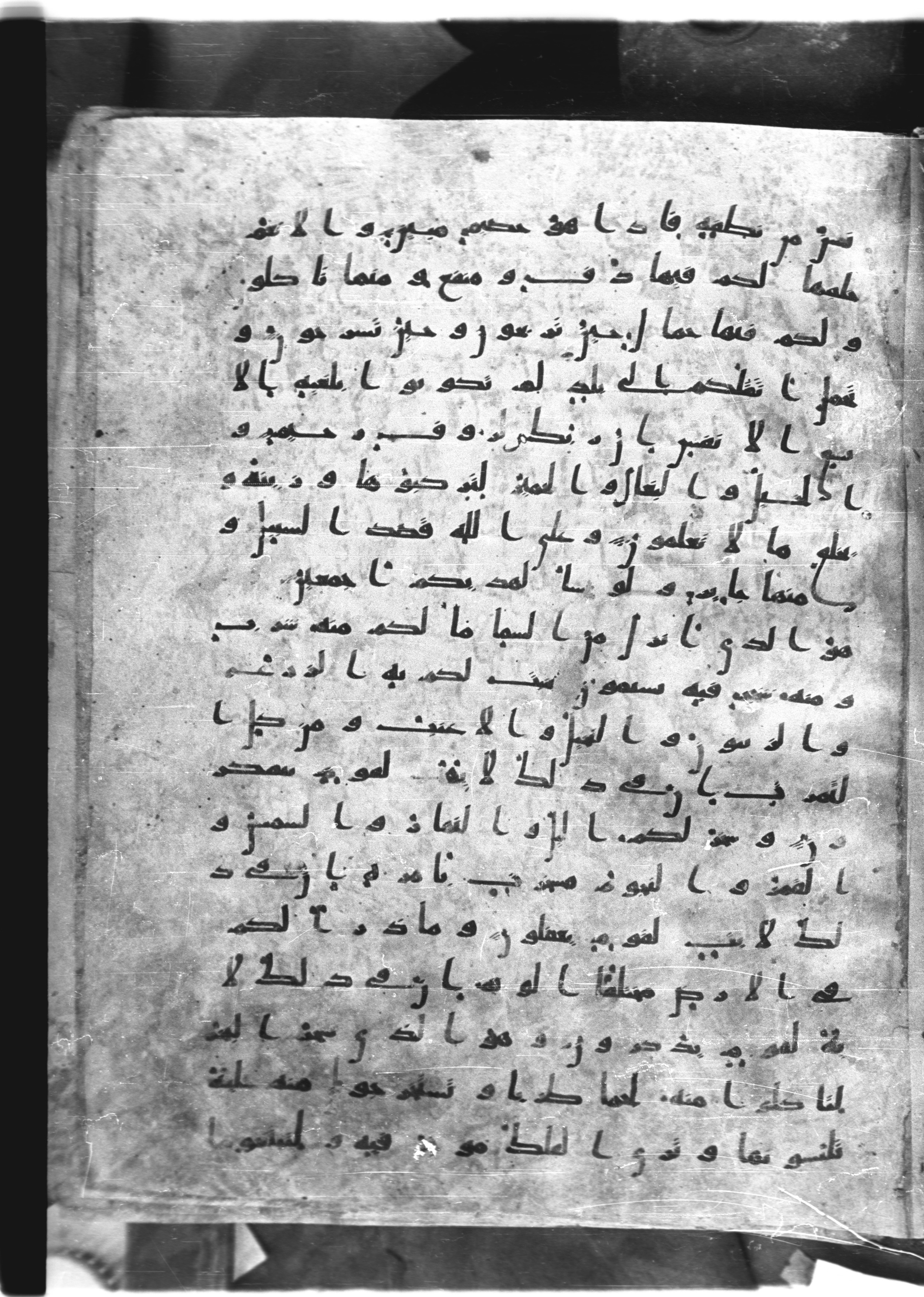 Saray Medina 1a (Karatay 3), in Kūfī script, showing Surah 16:13 from 8th Century AD found in Medina, currently housed at Topkapı Palace Museum, Istanbul