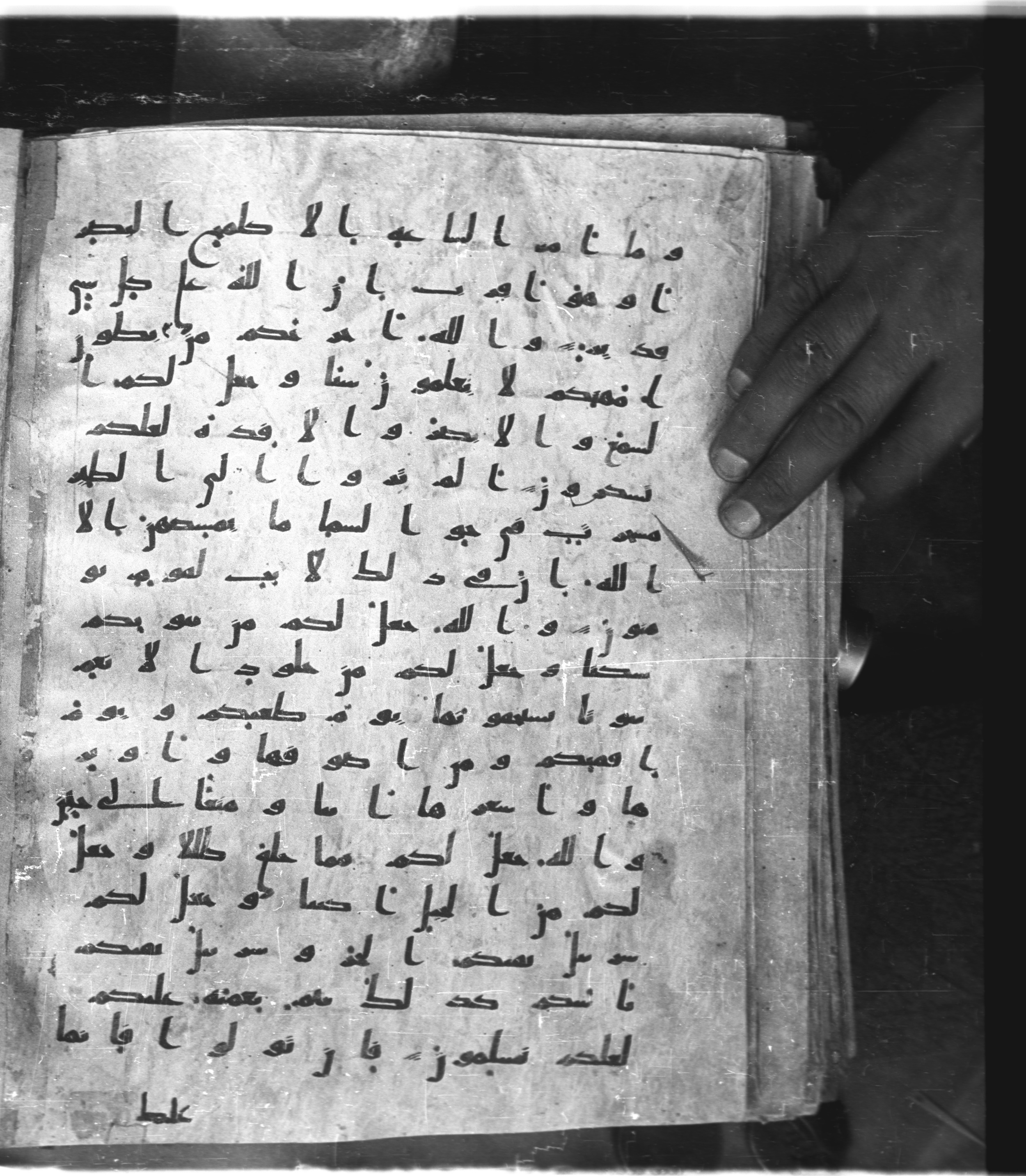 Saray Medina 1a (Karatay 3) (Scan 1), in Kūfī script, showing Surah 16:82 from 8th Century AD found in Medina, currently housed at Topkapı Palace Museum, Istanbul