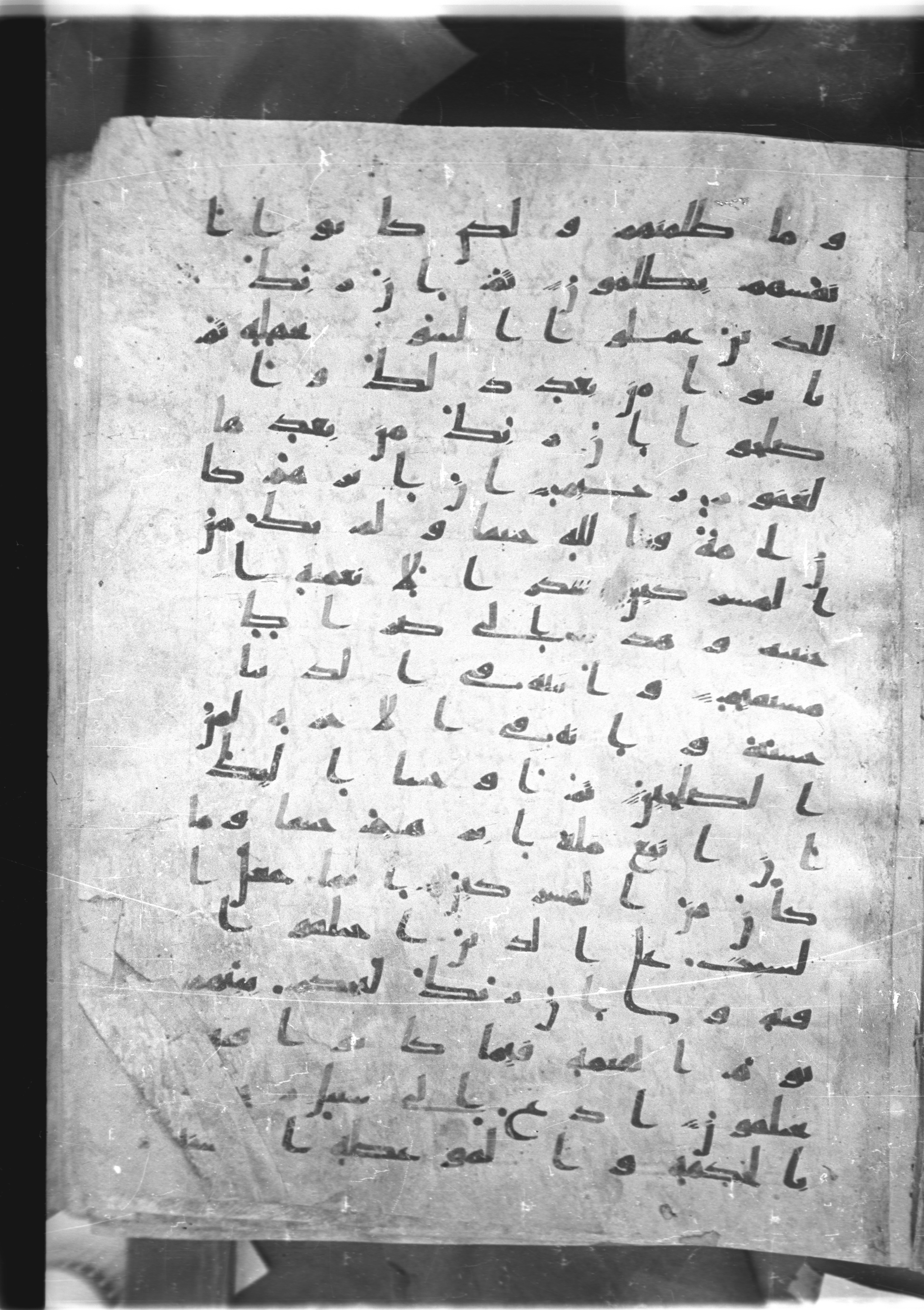 Saray Medina 1a (Karatay 3), in Kūfī script, showing Surah 16:124 from 8th Century AD found in Medina, currently housed at Topkapı Palace Museum, Istanbul