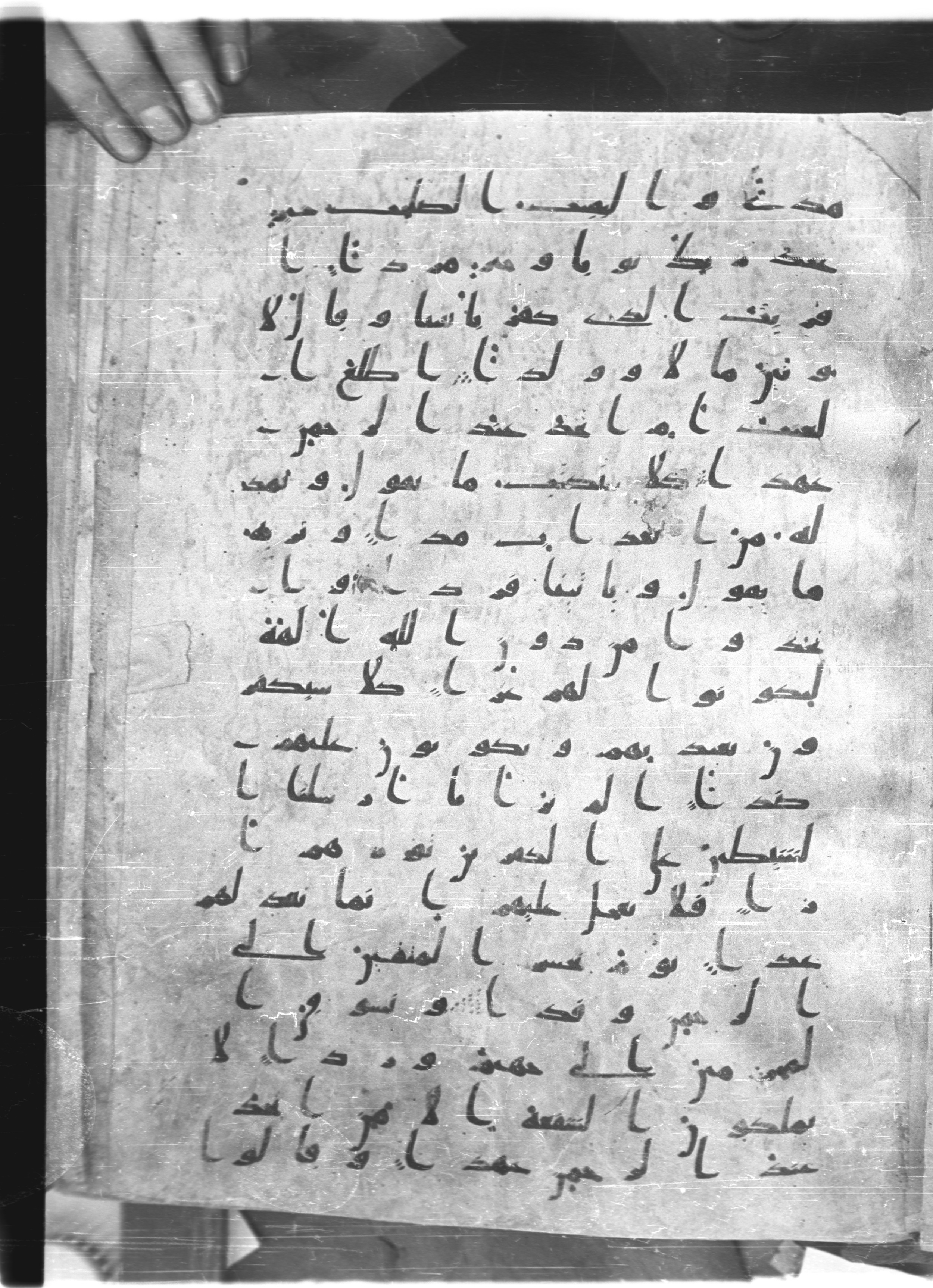 Saray Medina 1a (Karatay 3), in Kūfī script, showing Surah 19:83 from 8th Century AD found in Medina, currently housed at Topkapı Palace Museum, Istanbul