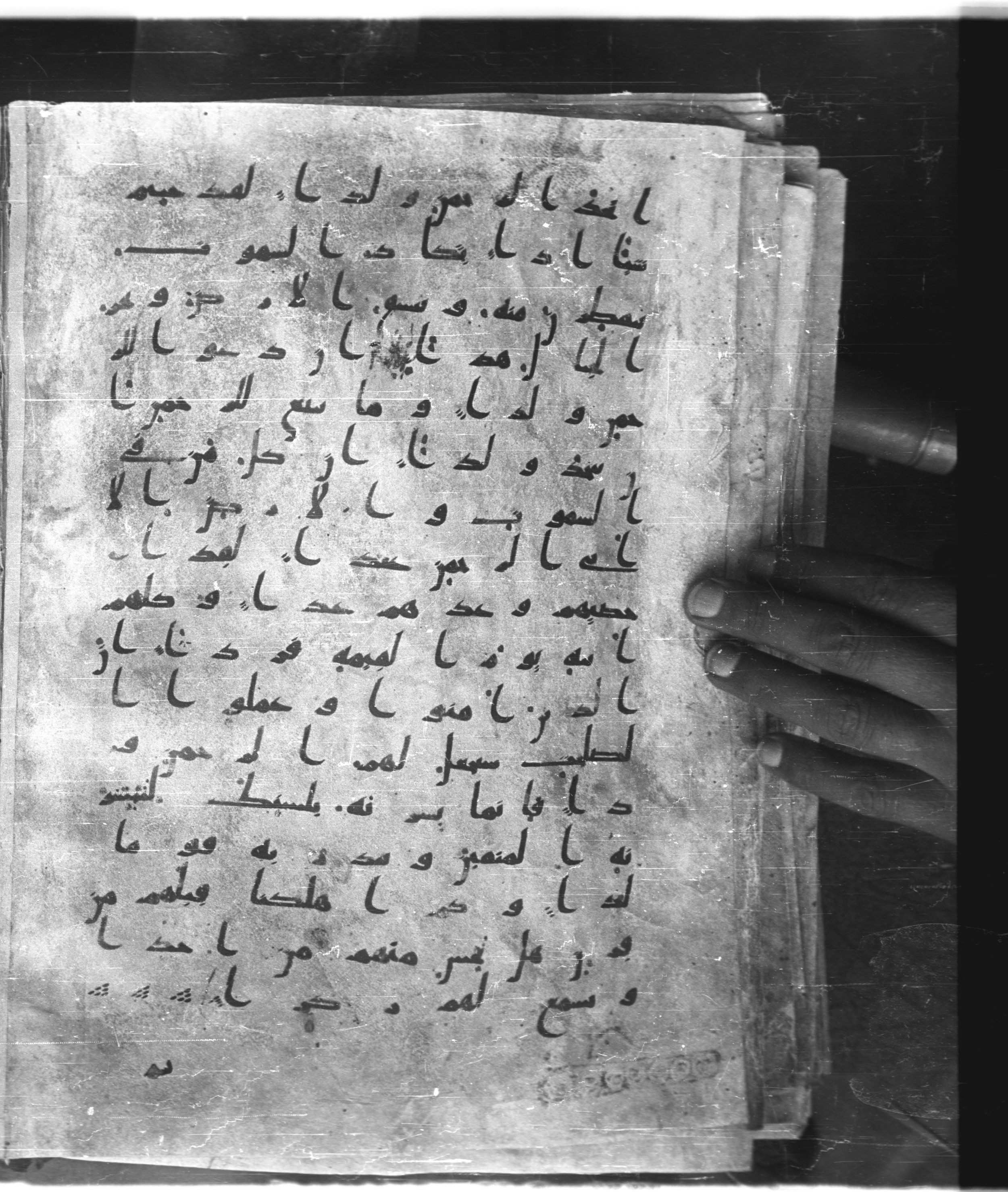 Saray Medina 1a (Karatay 3), in Kūfī script, showing Surah 19:97 from 8th Century AD found in Medina, currently housed at Topkapı Palace Museum, Istanbul