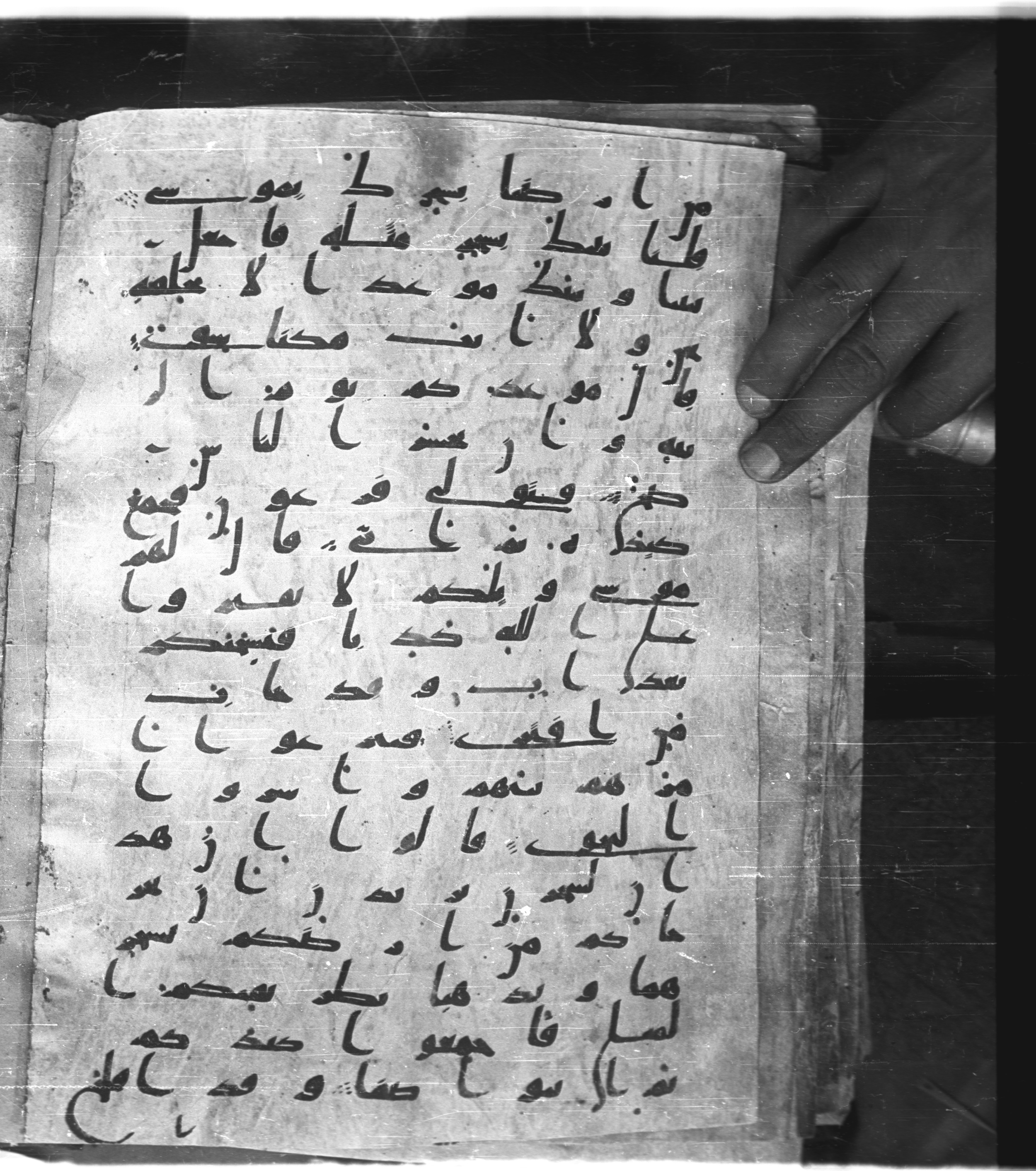 Saray Medina 1a (Karatay 3) (Scan 1), in Kūfī script, showing Surah 20:64 from 8th Century AD found in Medina, currently housed at Topkapı Palace Museum, Istanbul