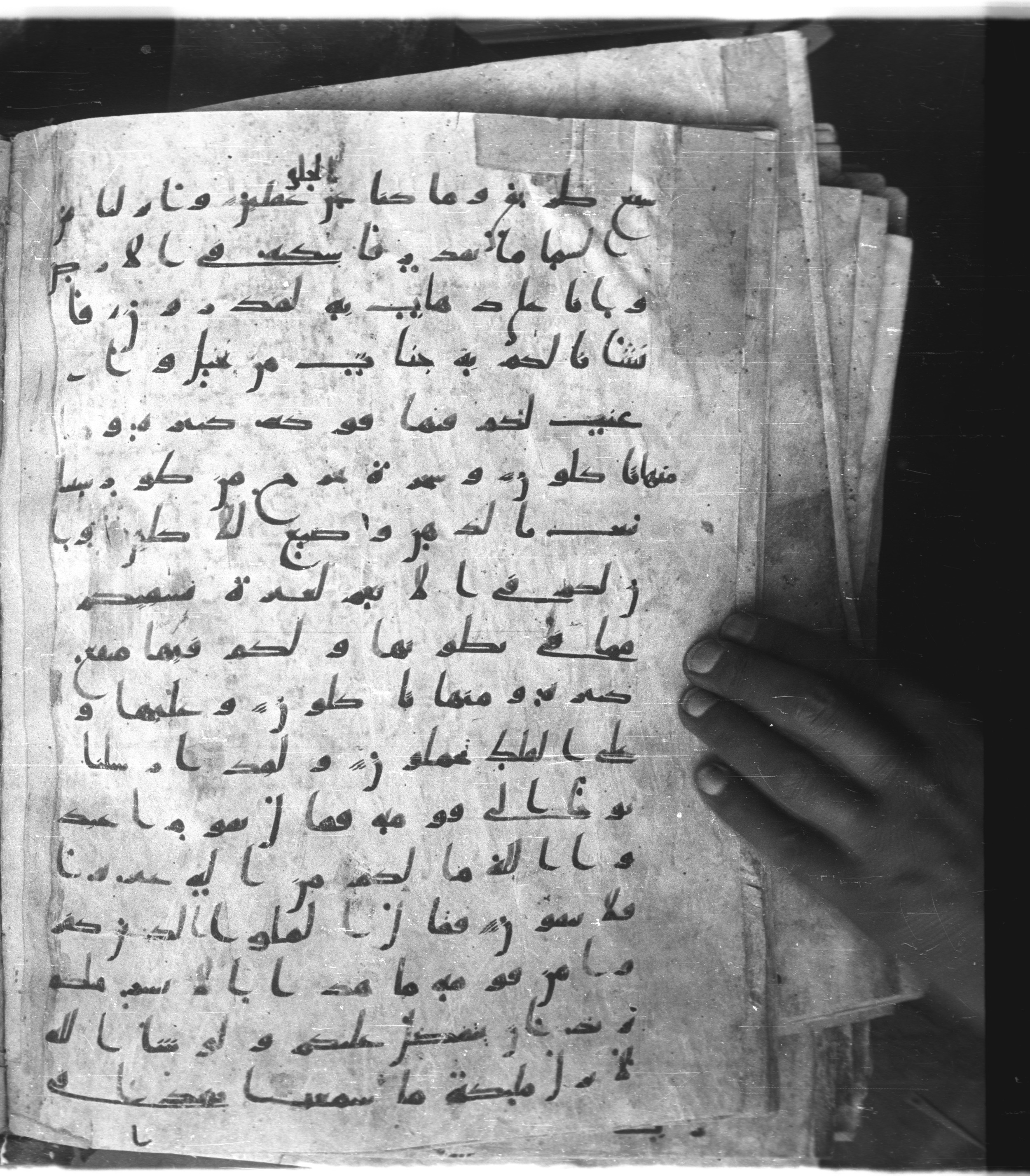 Saray Medina 1a (Karatay 3), in Kūfī script, showing Surah 23:19 from 8th Century AD found in Medina, currently housed at Topkapı Palace Museum, Istanbul