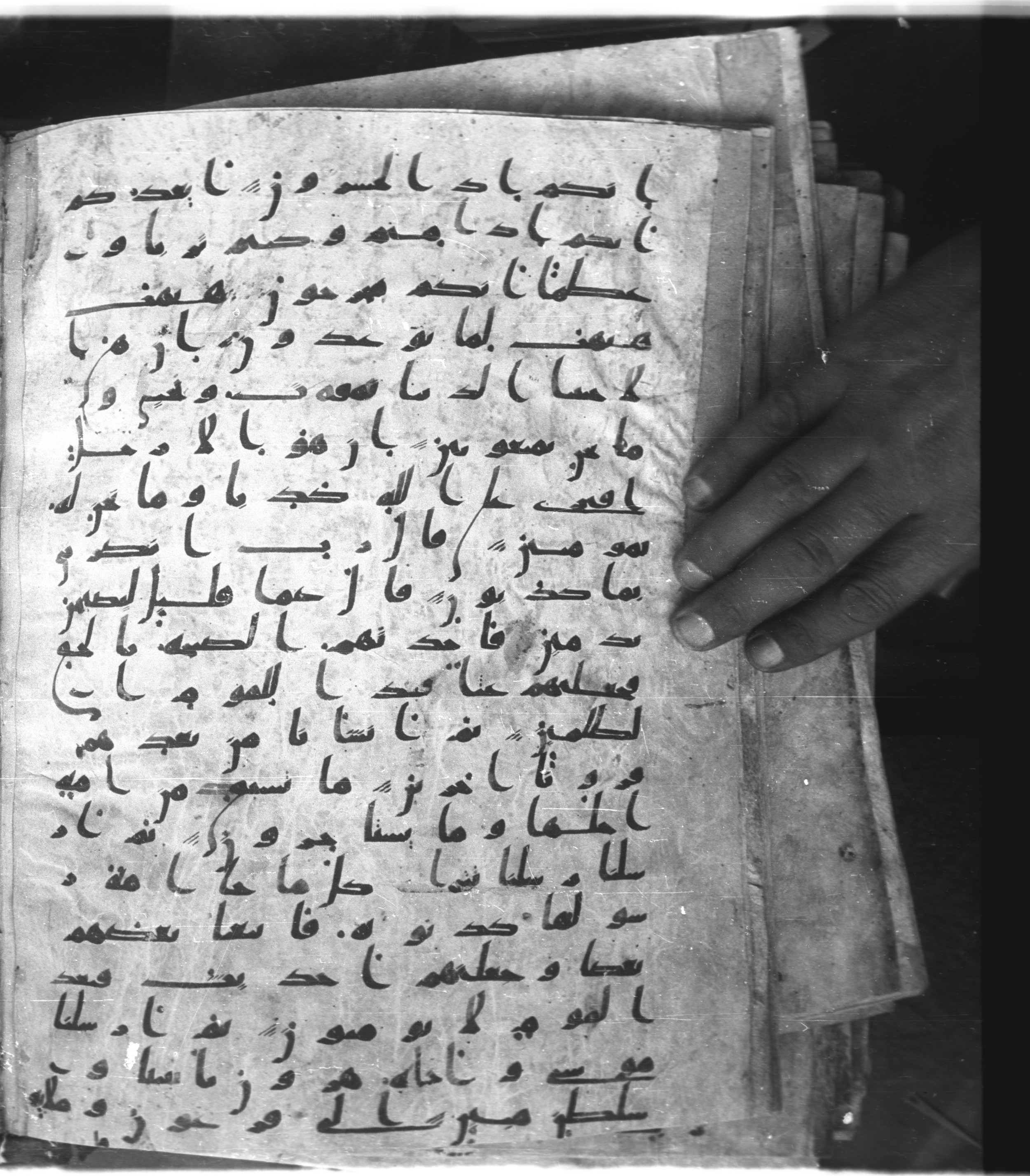 Saray Medina 1a (Karatay 3), in Kūfī script, showing Surah 23:45 from 8th Century AD found in Medina, currently housed at Topkapı Palace Museum, Istanbul