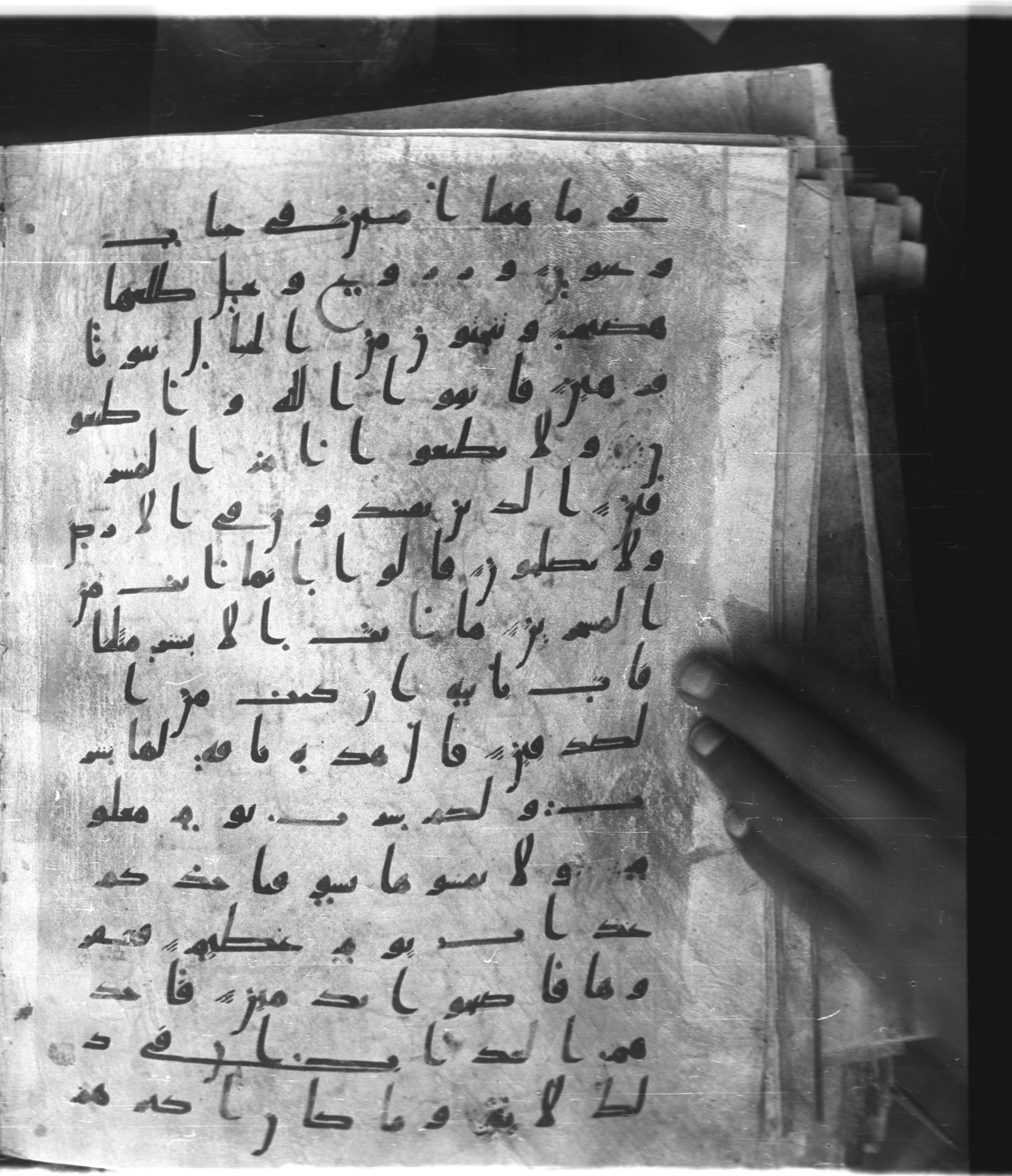 Saray Medina 1a (Karatay 3), in Kūfī script, showing Surah 26:151 from 8th Century AD found in Medina, currently housed at Topkapı Palace Museum, Istanbul