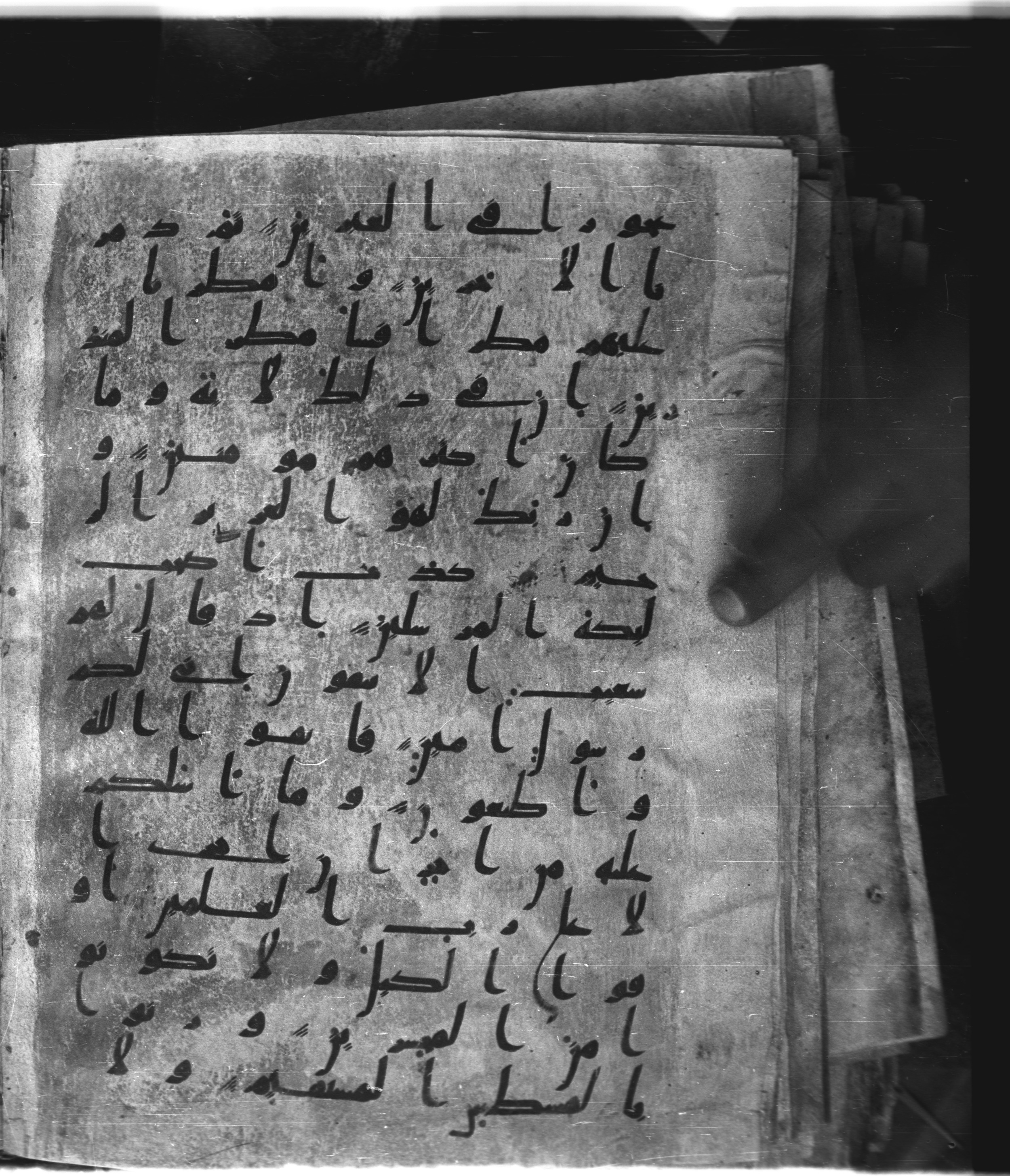 Saray Medina 1a (Karatay 3), in Kūfī script, showing Surah 26:175 from 8th Century AD found in Medina, currently housed at Topkapı Palace Museum, Istanbul