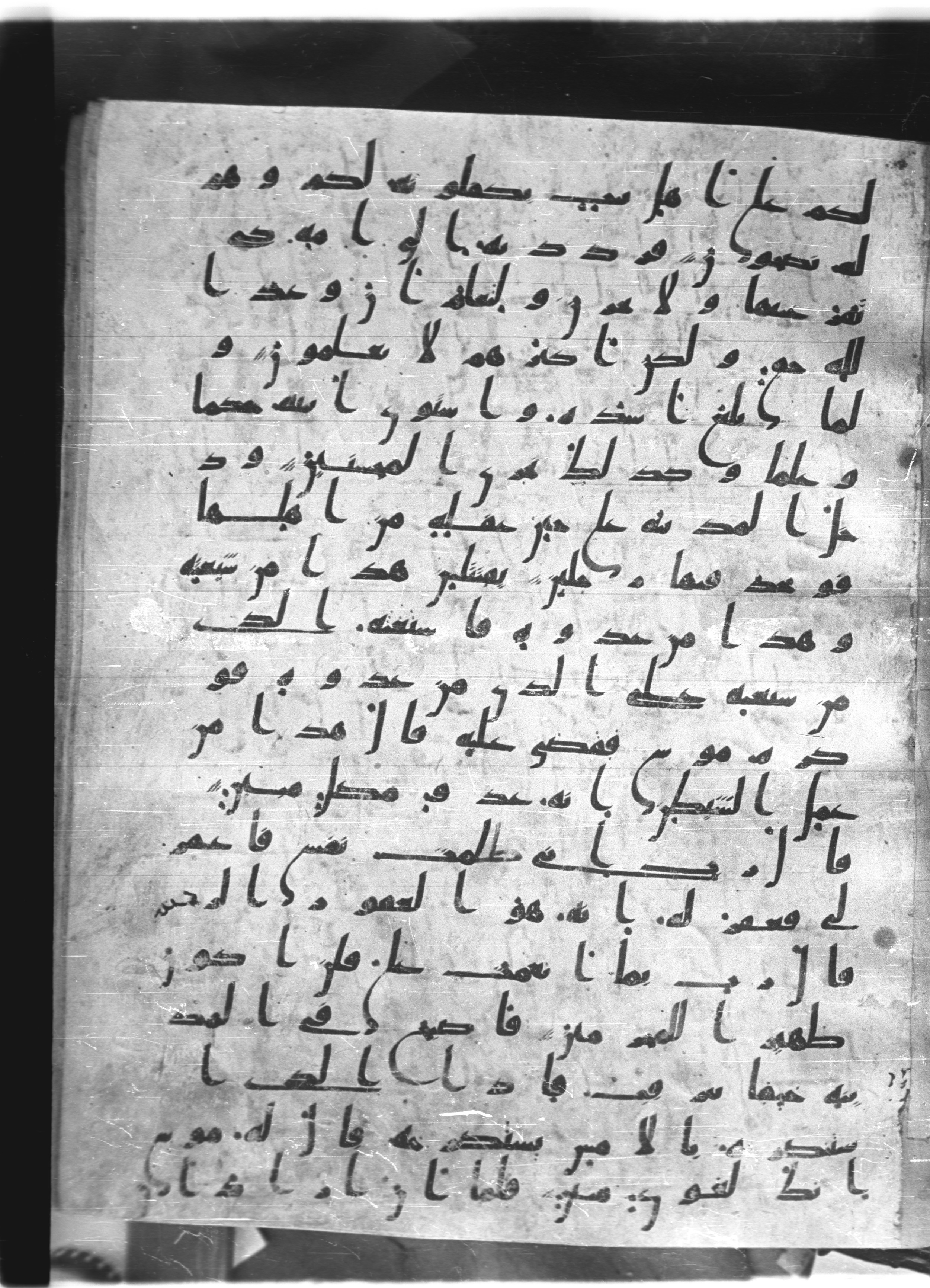 Saray Medina 1a (Karatay 3), in Kūfī script, showing Surah 28:16 from 8th Century AD found in Medina, currently housed at Topkapı Palace Museum, Istanbul
