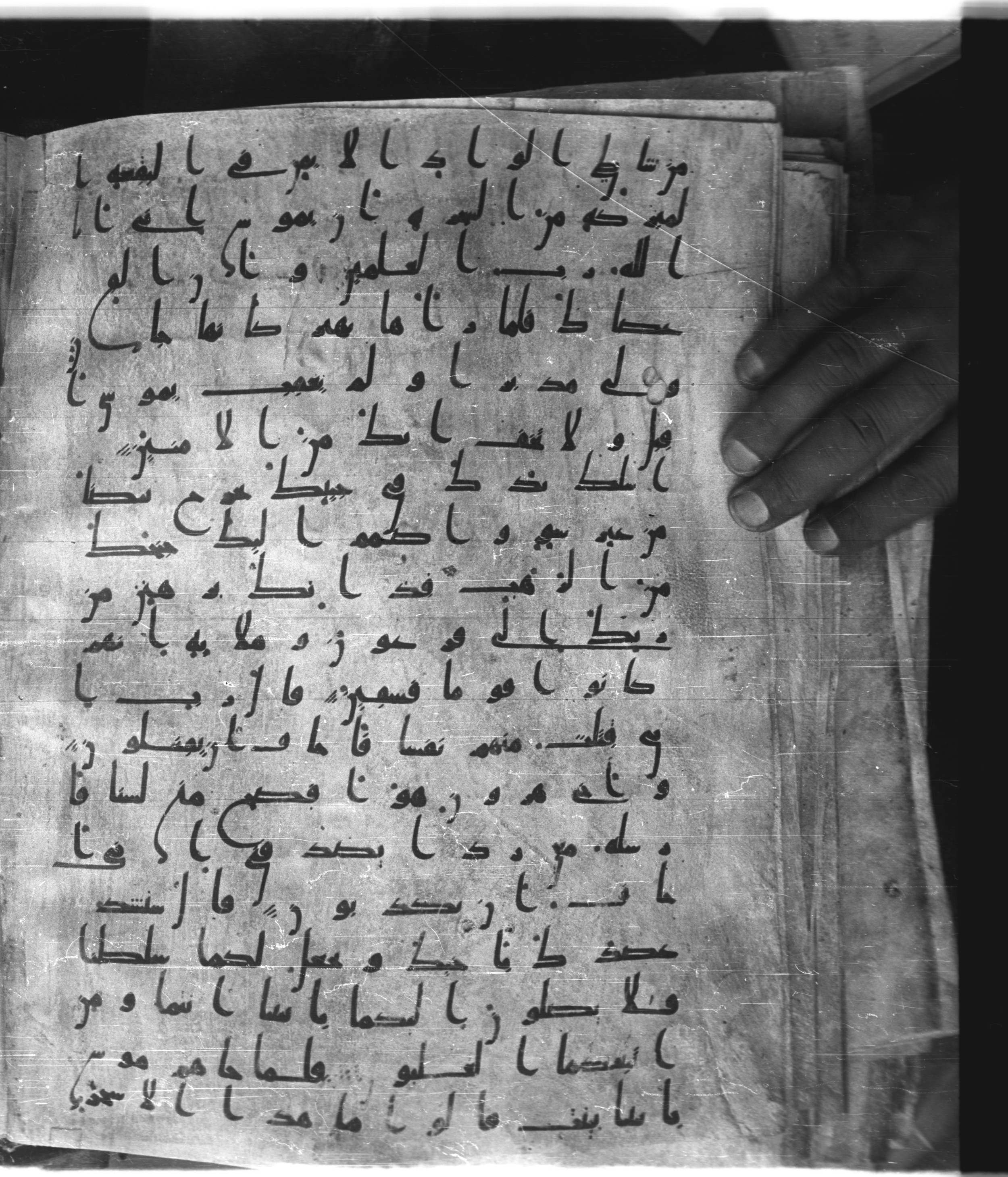 Saray Medina 1a (Karatay 3), in Kūfī script, showing Surah 28:32 from 8th Century AD found in Medina, currently housed at Topkapı Palace Museum, Istanbul
