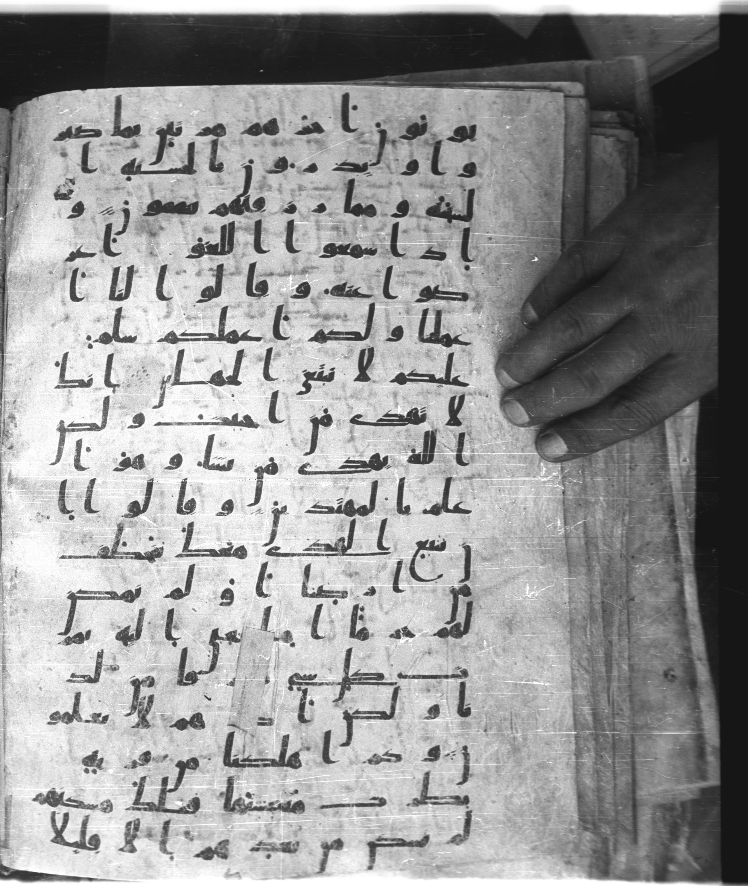 Saray Medina 1a (Karatay 3), in Kūfī script, showing Surah 28:55 from 8th Century AD found in Medina, currently housed at Topkapı Palace Museum, Istanbul