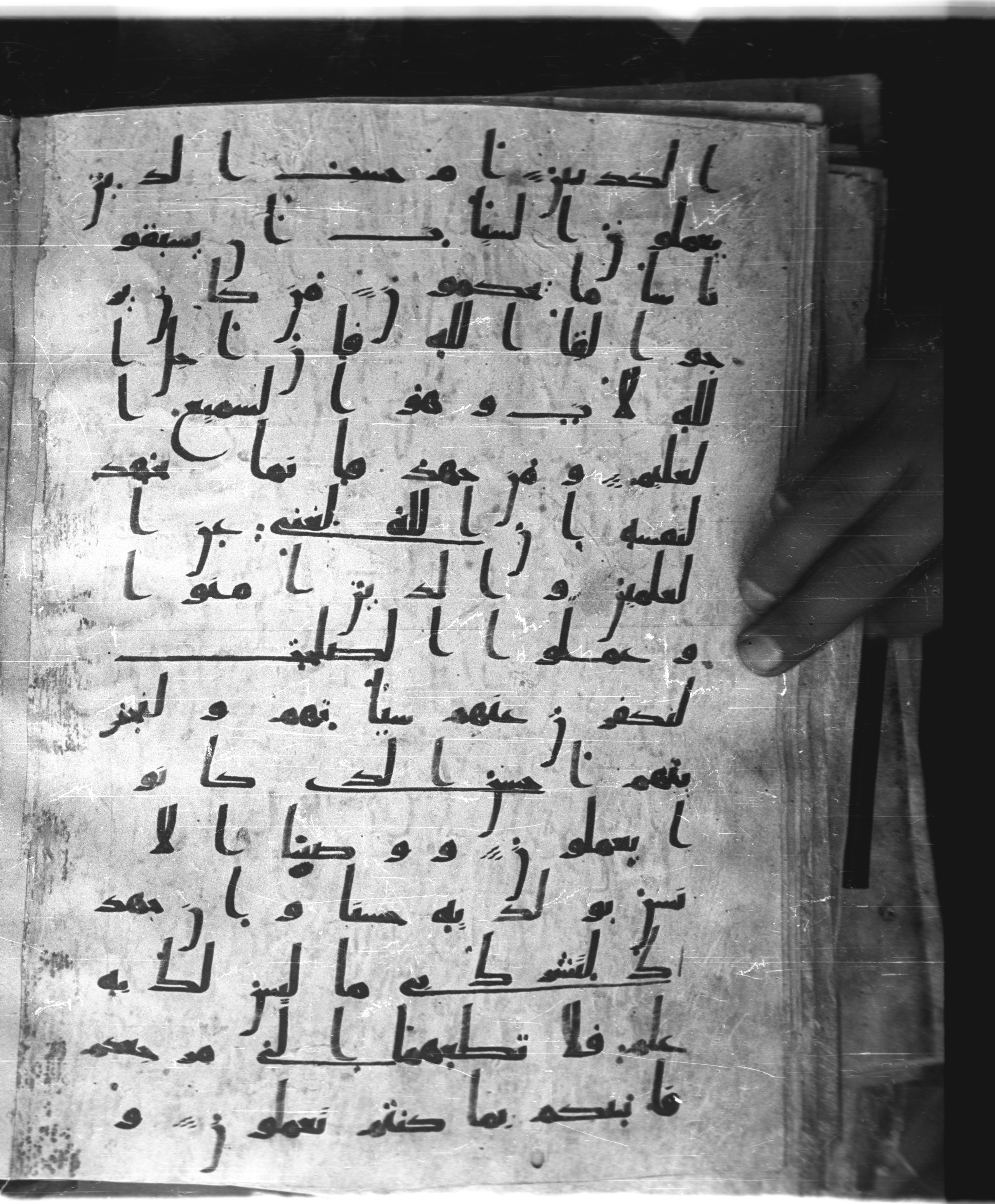 Saray Medina 1a (Karatay 3) (Scan 2), in Kūfī script, showing Surah 29:3 from 8th Century AD found in Medina, currently housed at Topkapı Palace Museum, Istanbul
