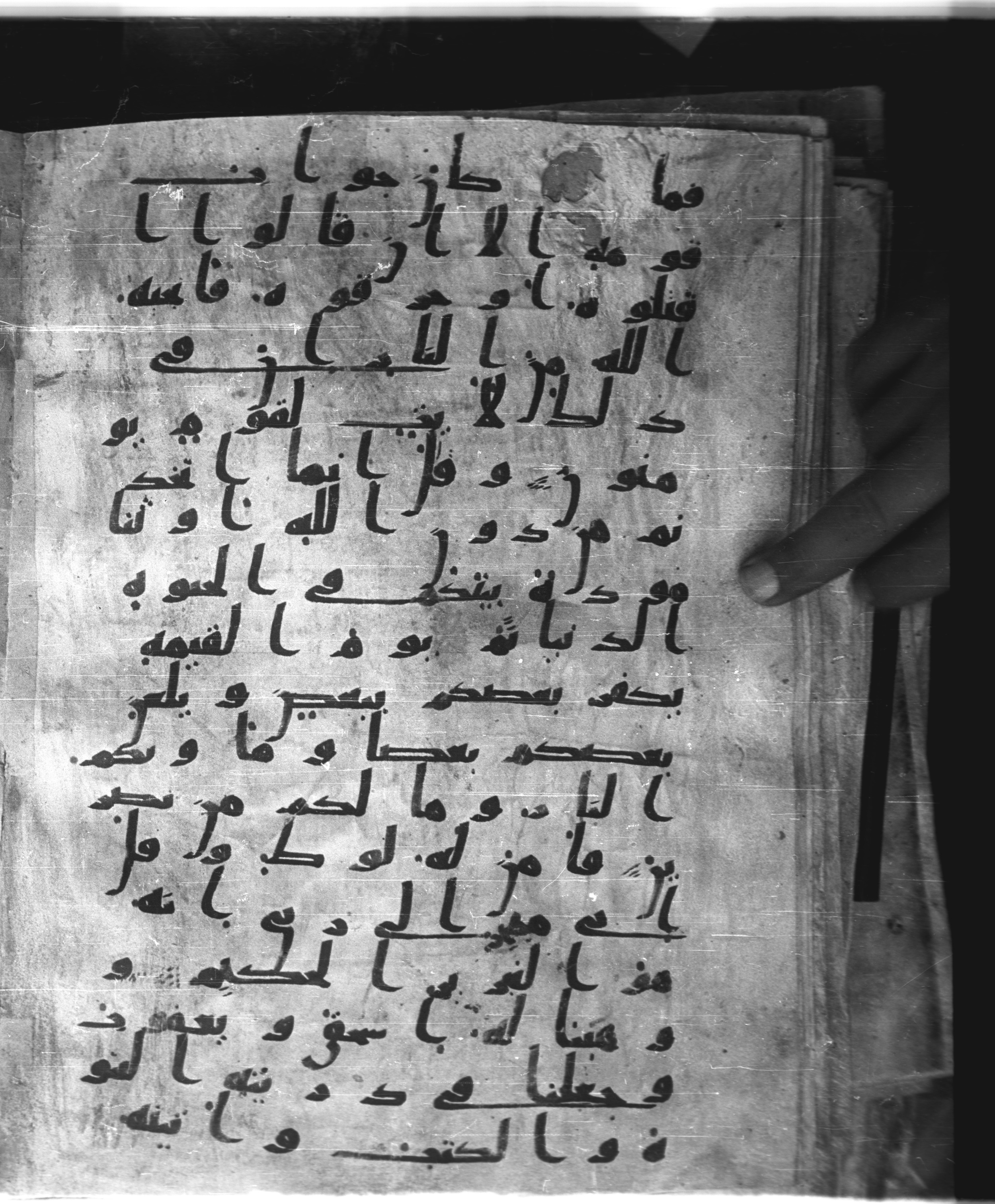 Saray Medina 1a (Karatay 3), in Kūfī script, showing Surah 29:24 from 8th Century AD found in Medina, currently housed at Topkapı Palace Museum, Istanbul